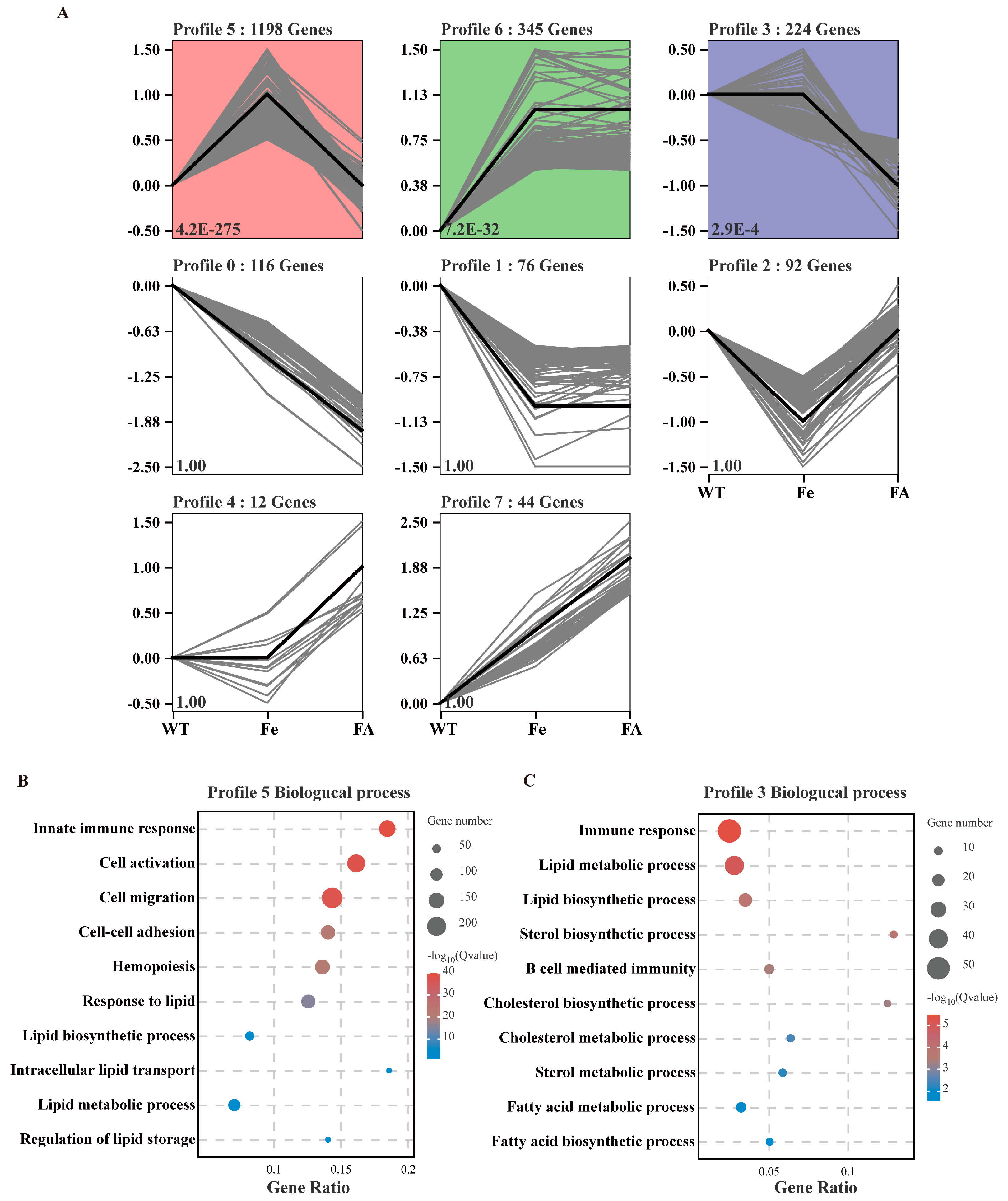 Antioxidants 13 01277 g006