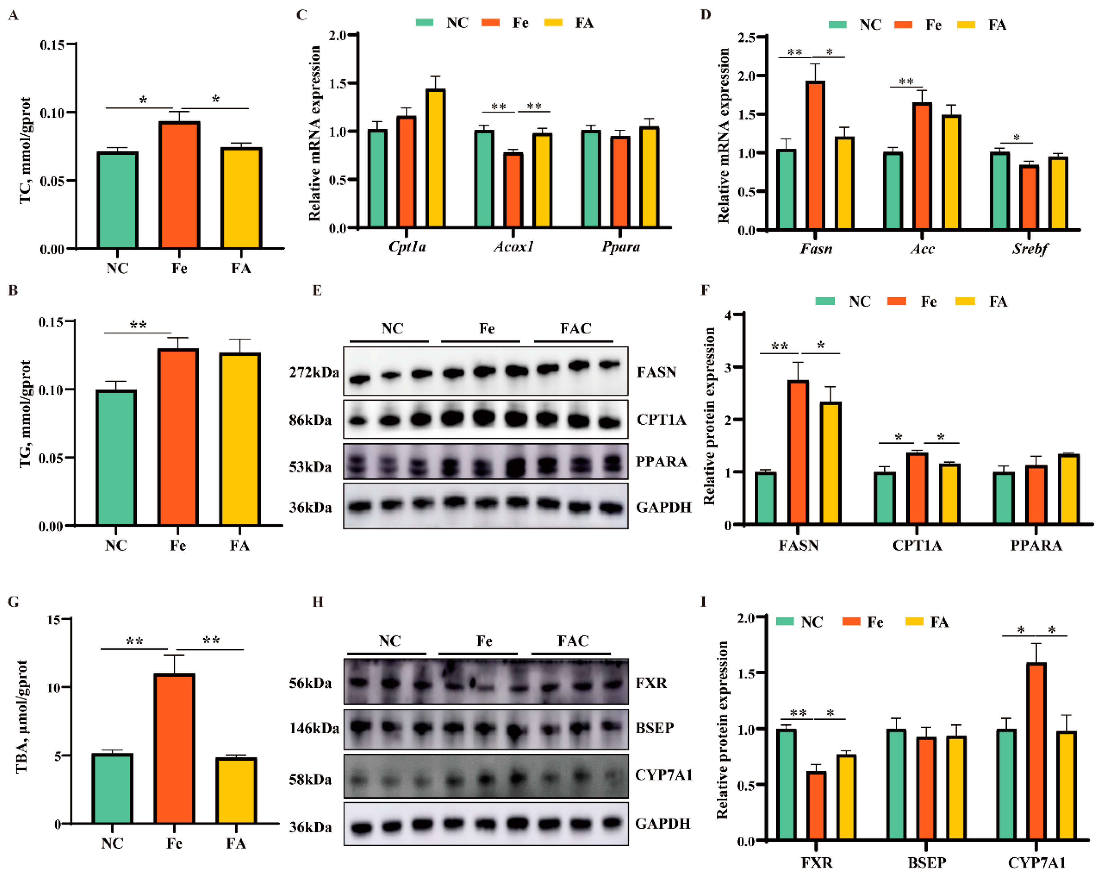 Antioxidants 13 01277 g007