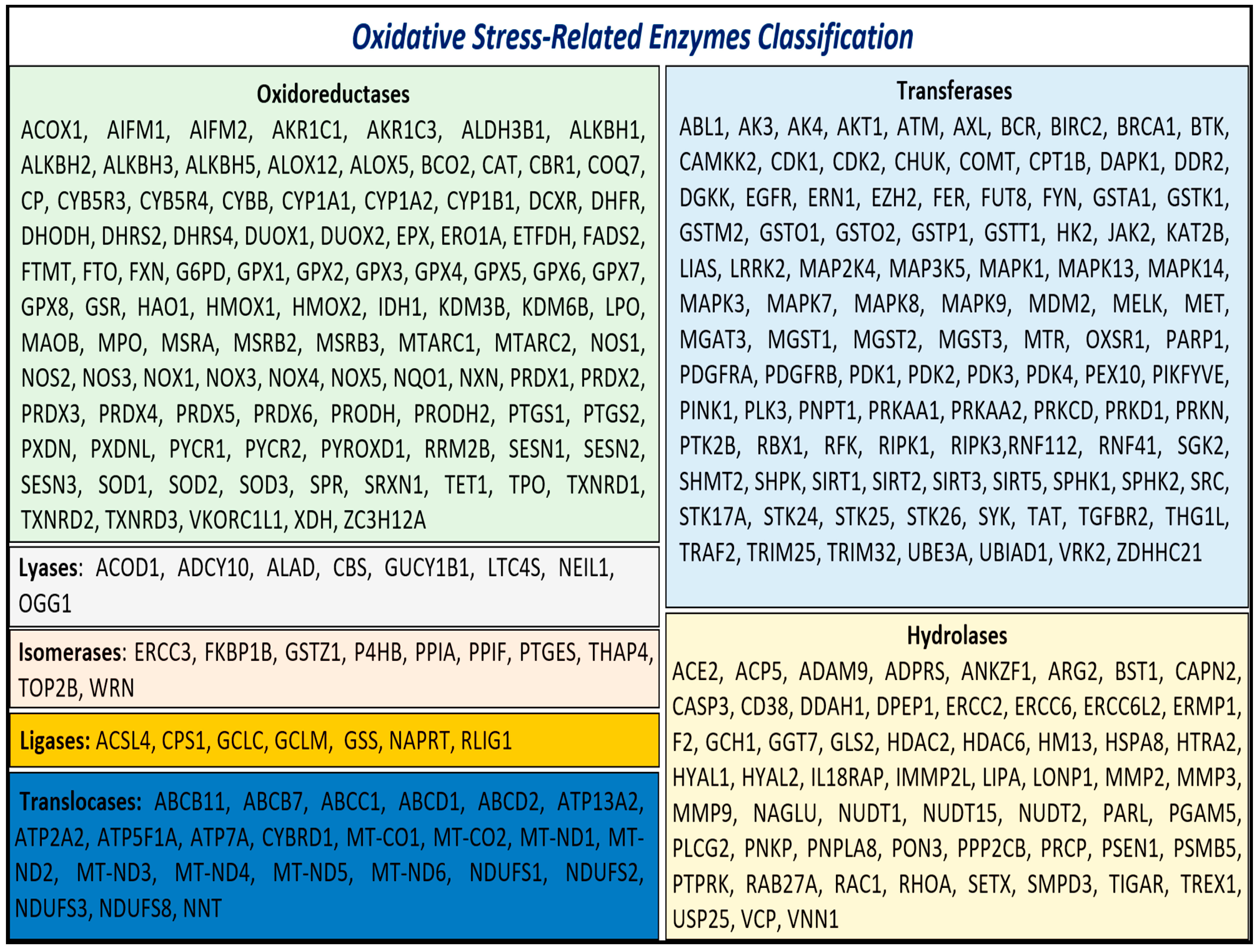 Antioxidants 13 01279 g001