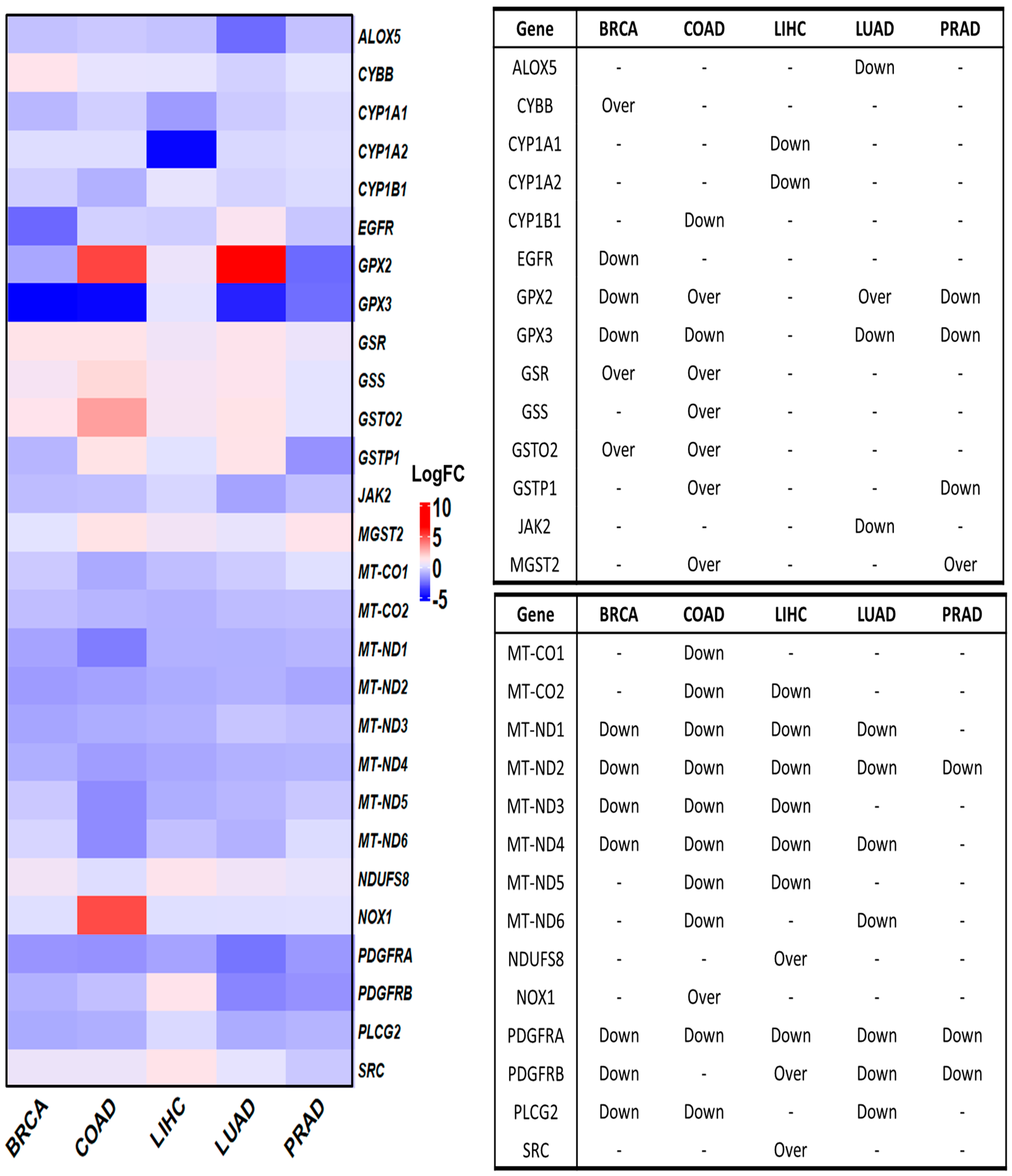 Antioxidants 13 01279 g003