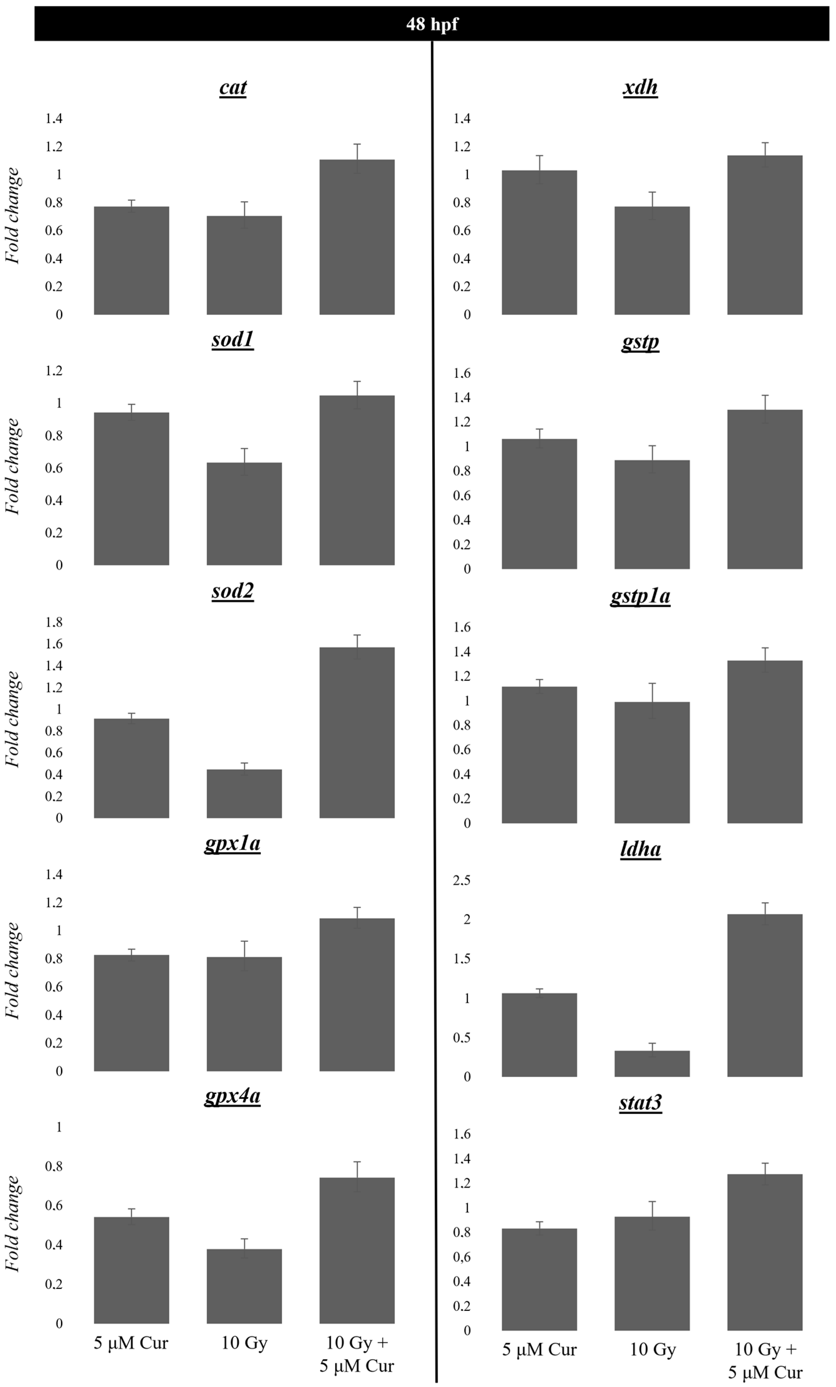 Antioxidants 13 01281 g009 Antioxidants 13 01281 g009