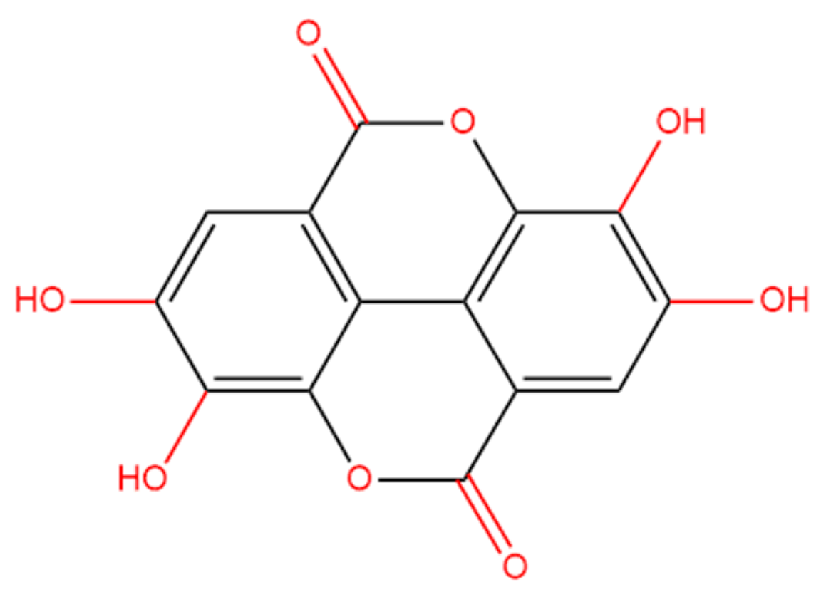 Antioxidants 13 01296 g001