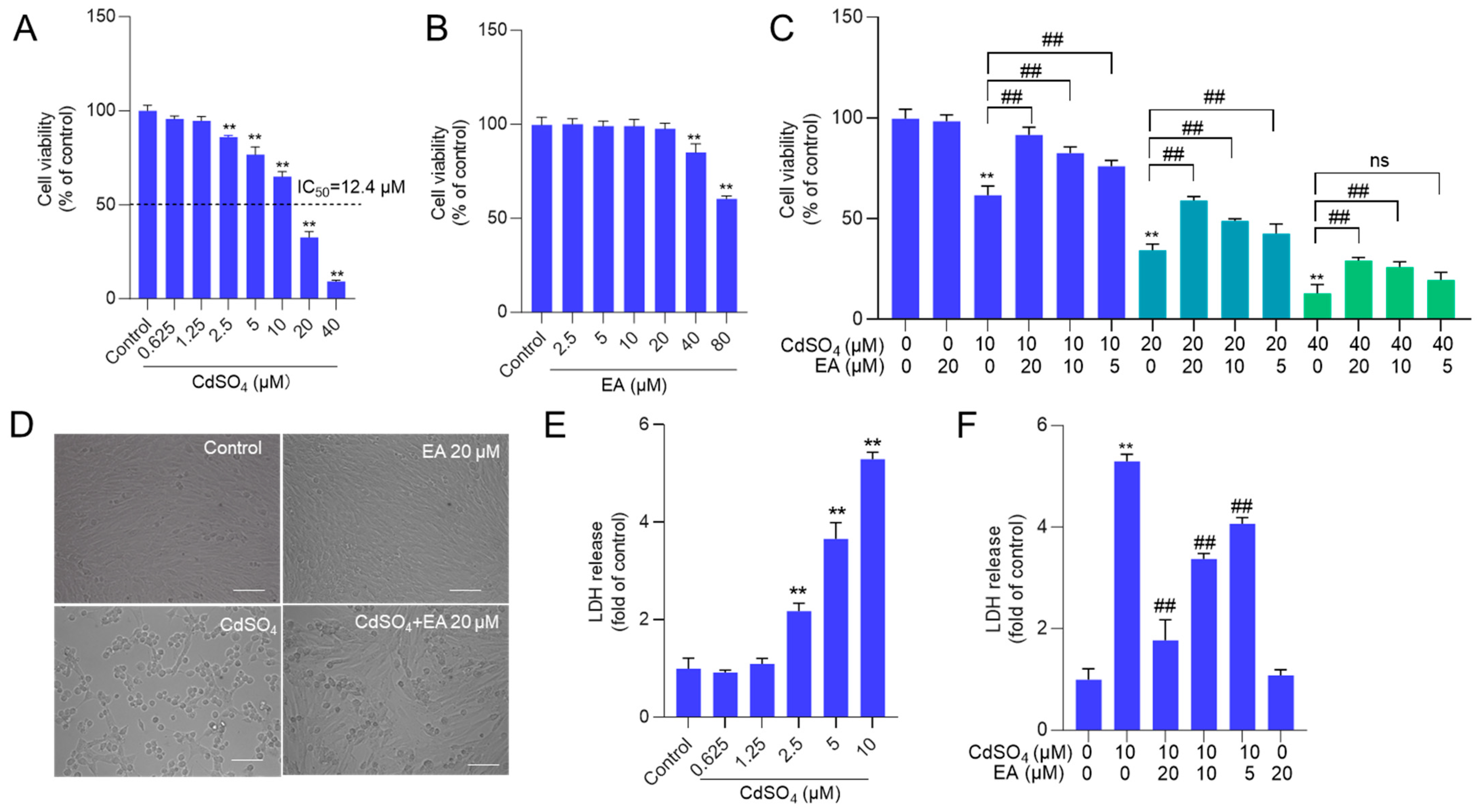 Antioxidants 13 01296 g002