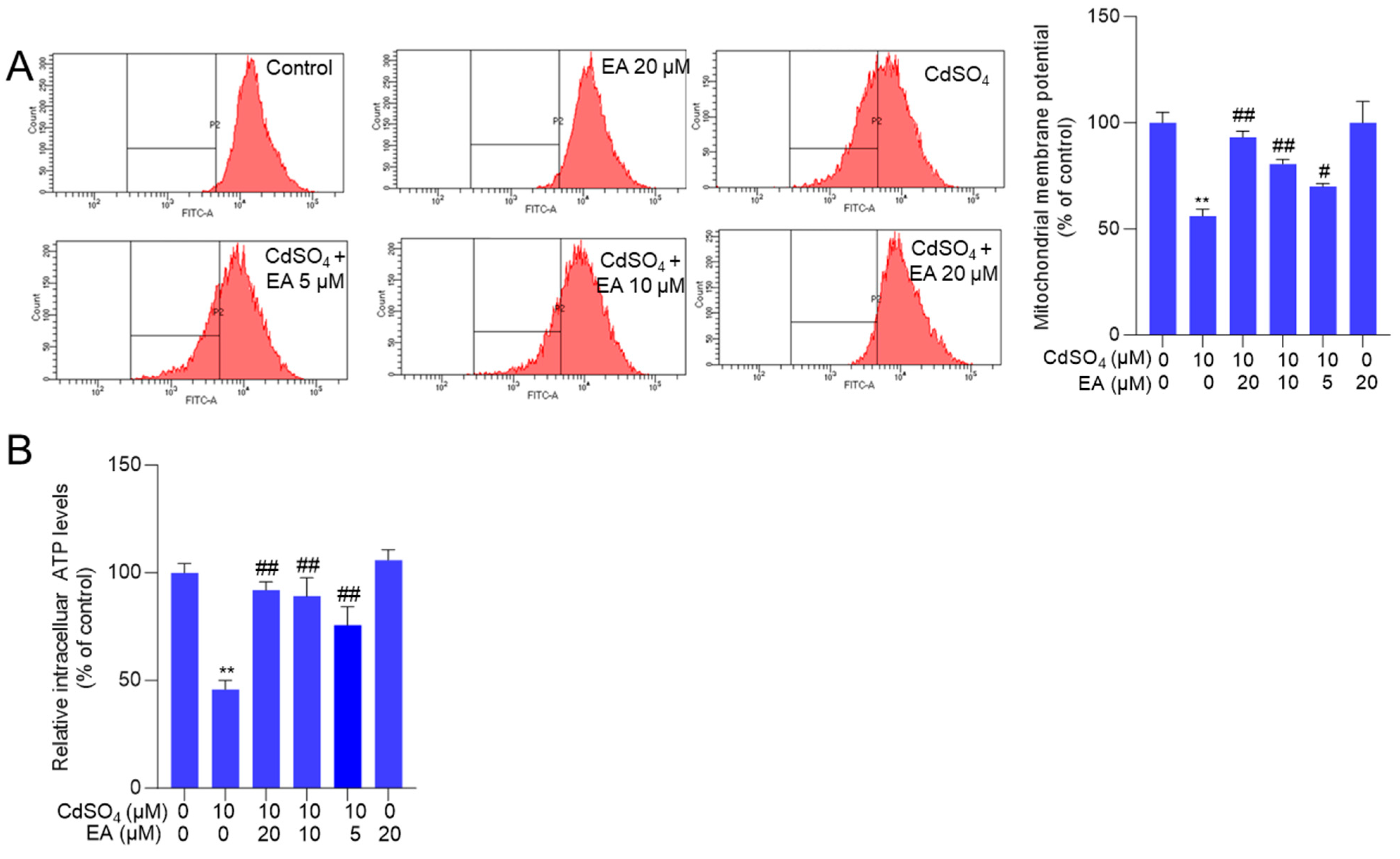 Antioxidants 13 01296 g005