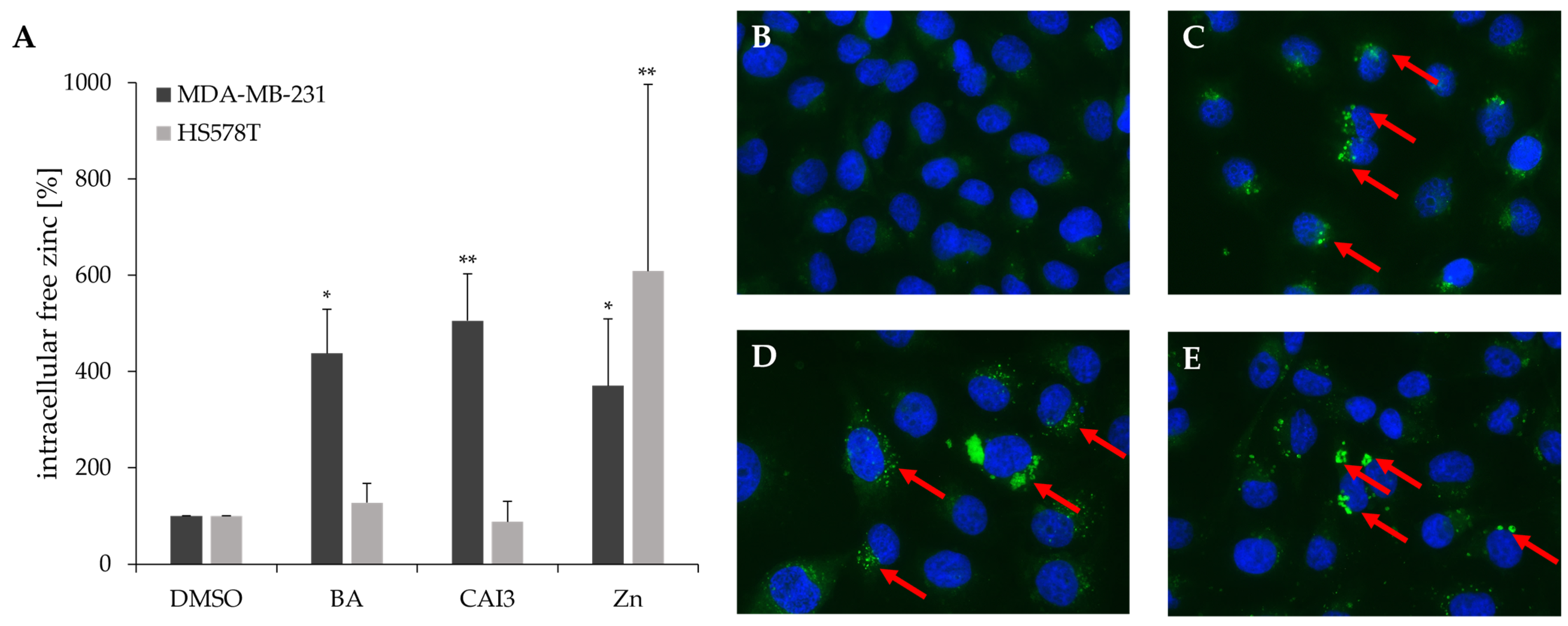 Antioxidants 13 01299 g002
