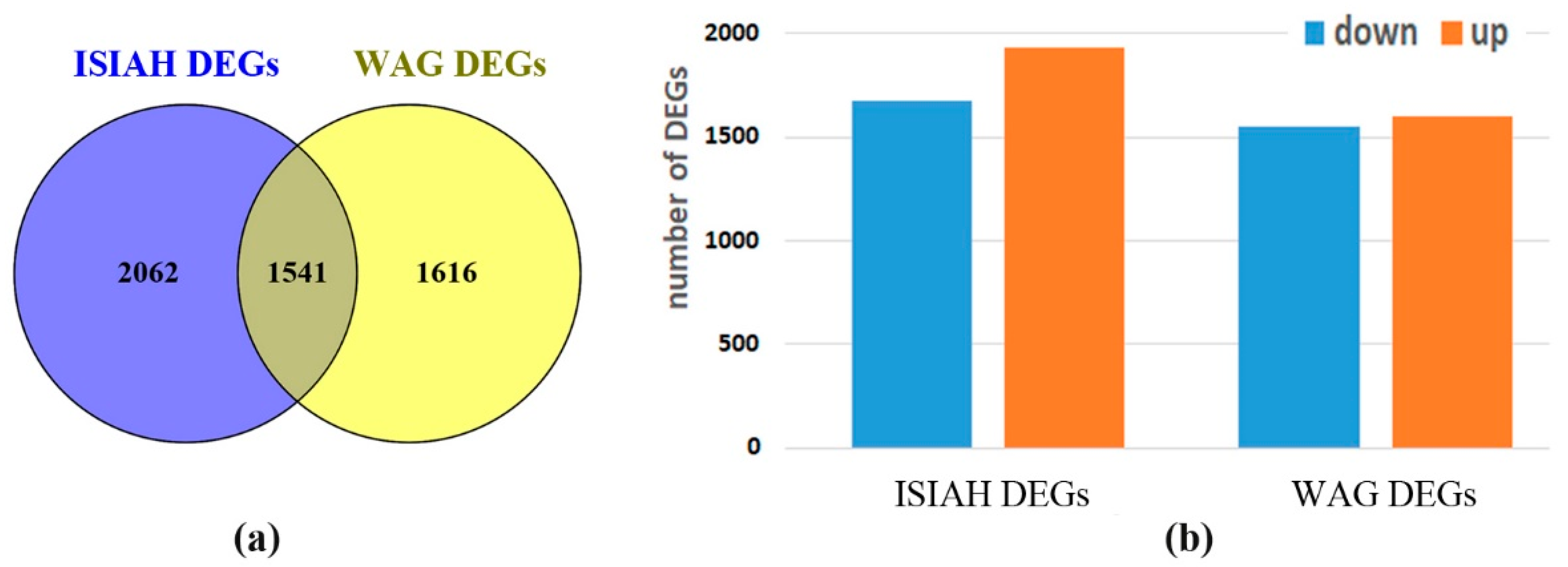 Antioxidants 13 01302 g002