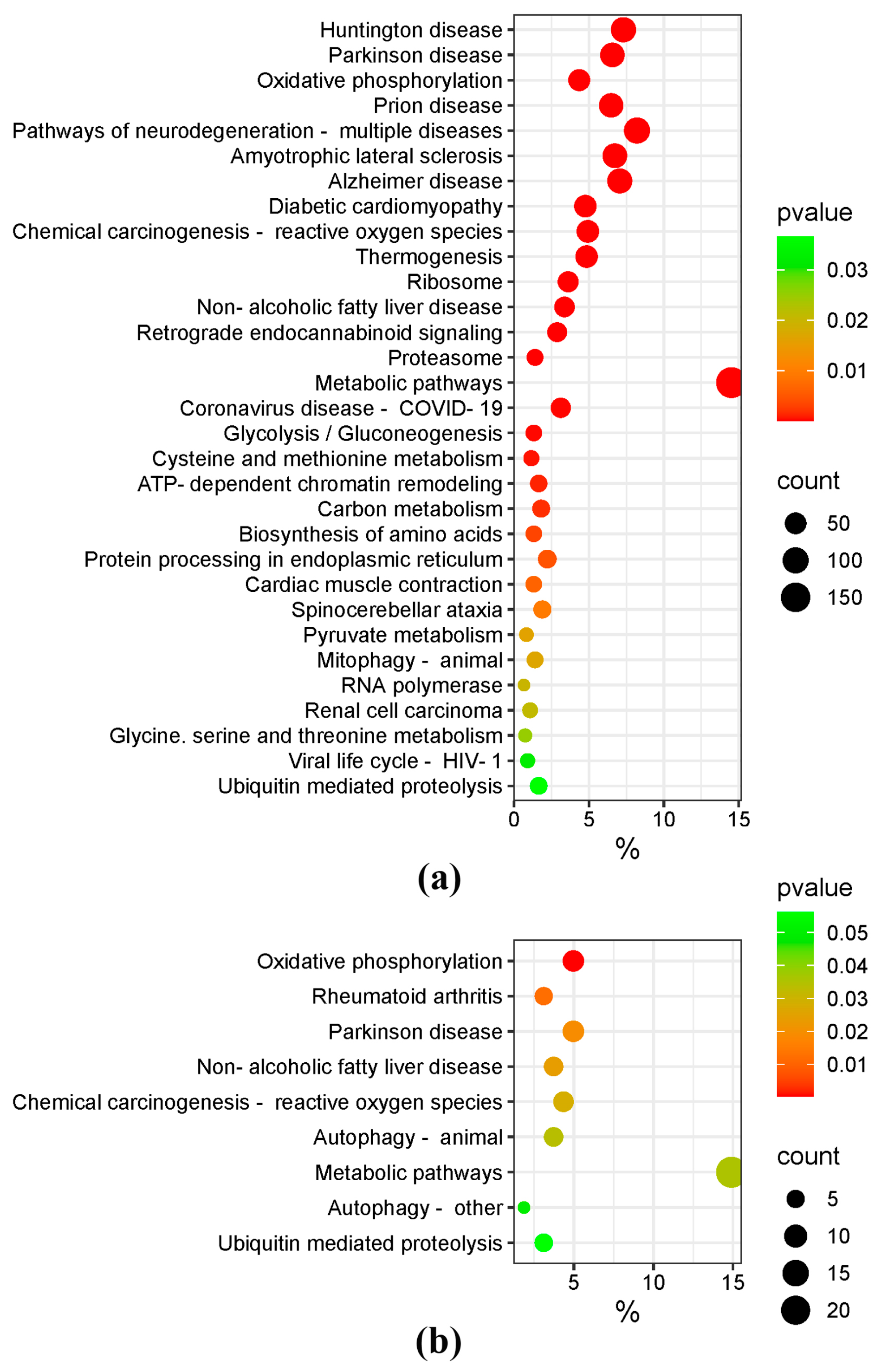 Antioxidants 13 01302 g003