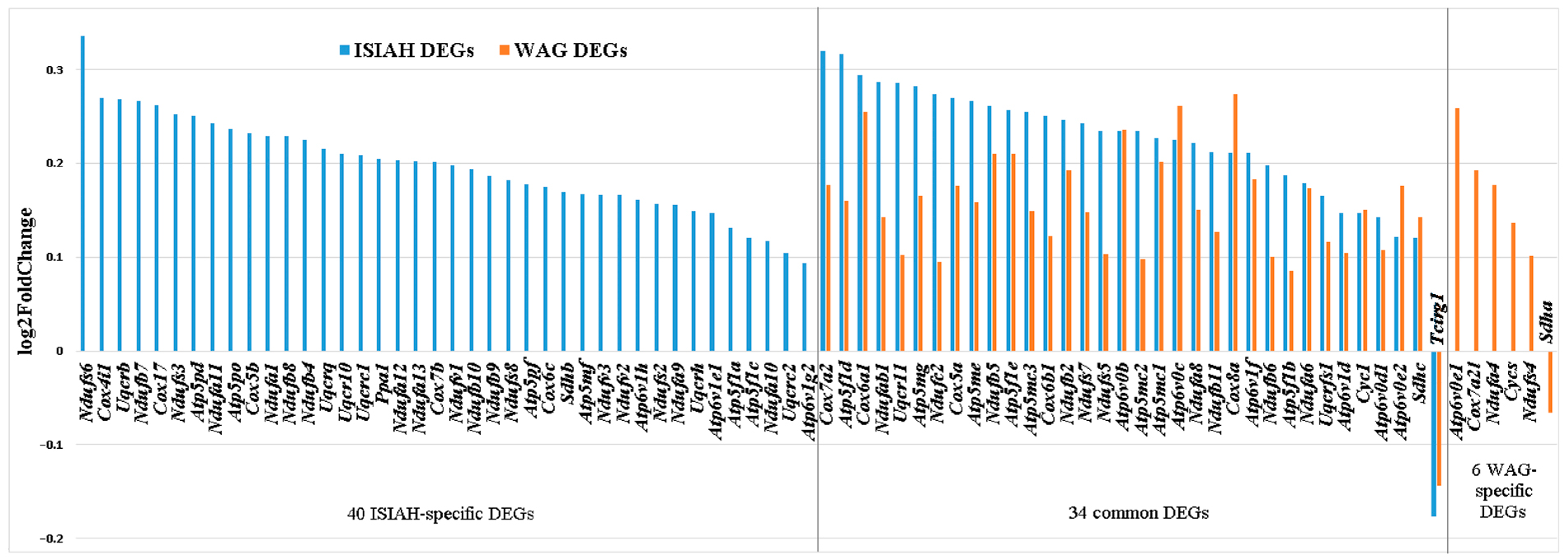 Antioxidants 13 01302 g004