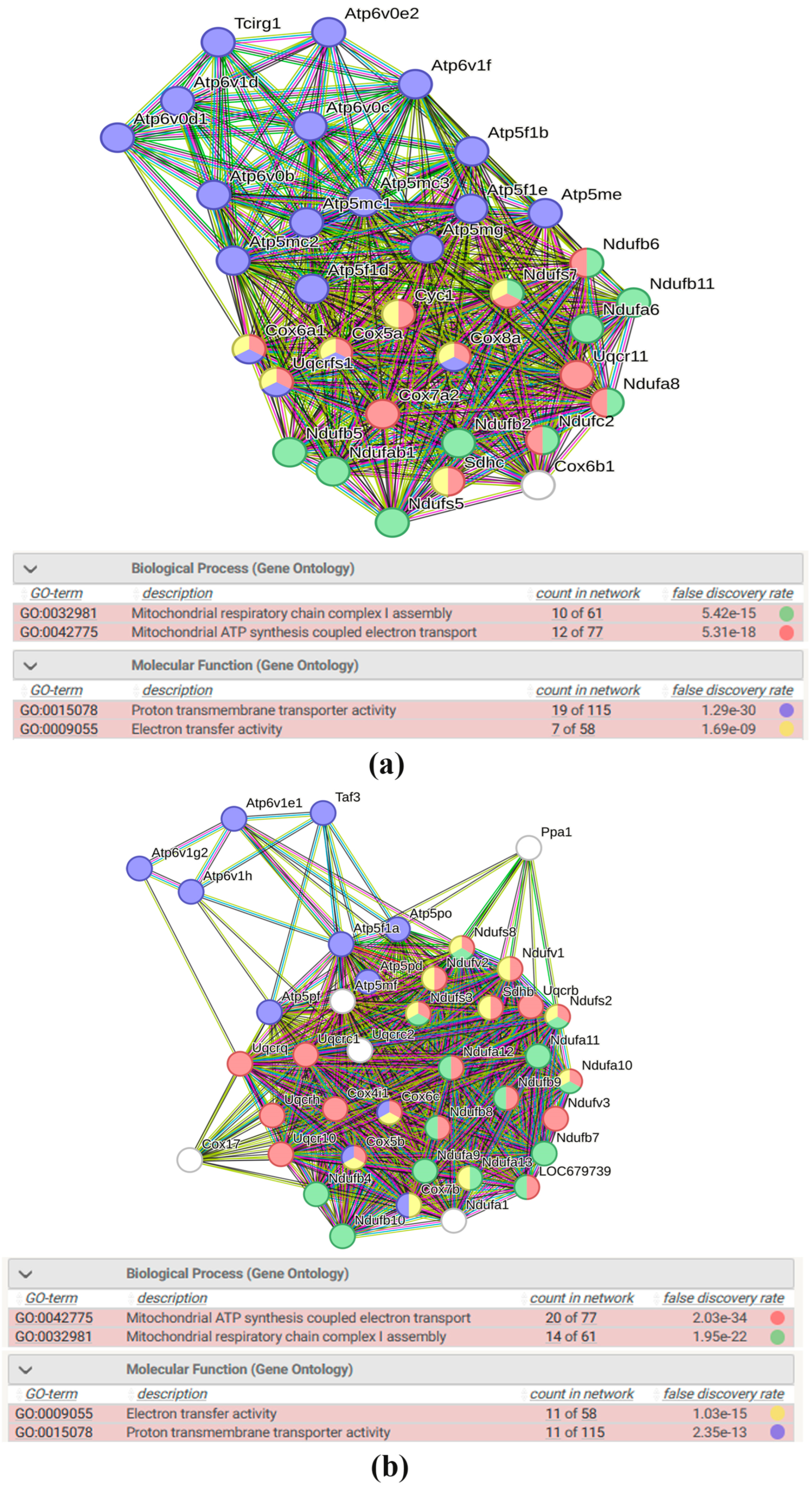 Antioxidants 13 01302 g005