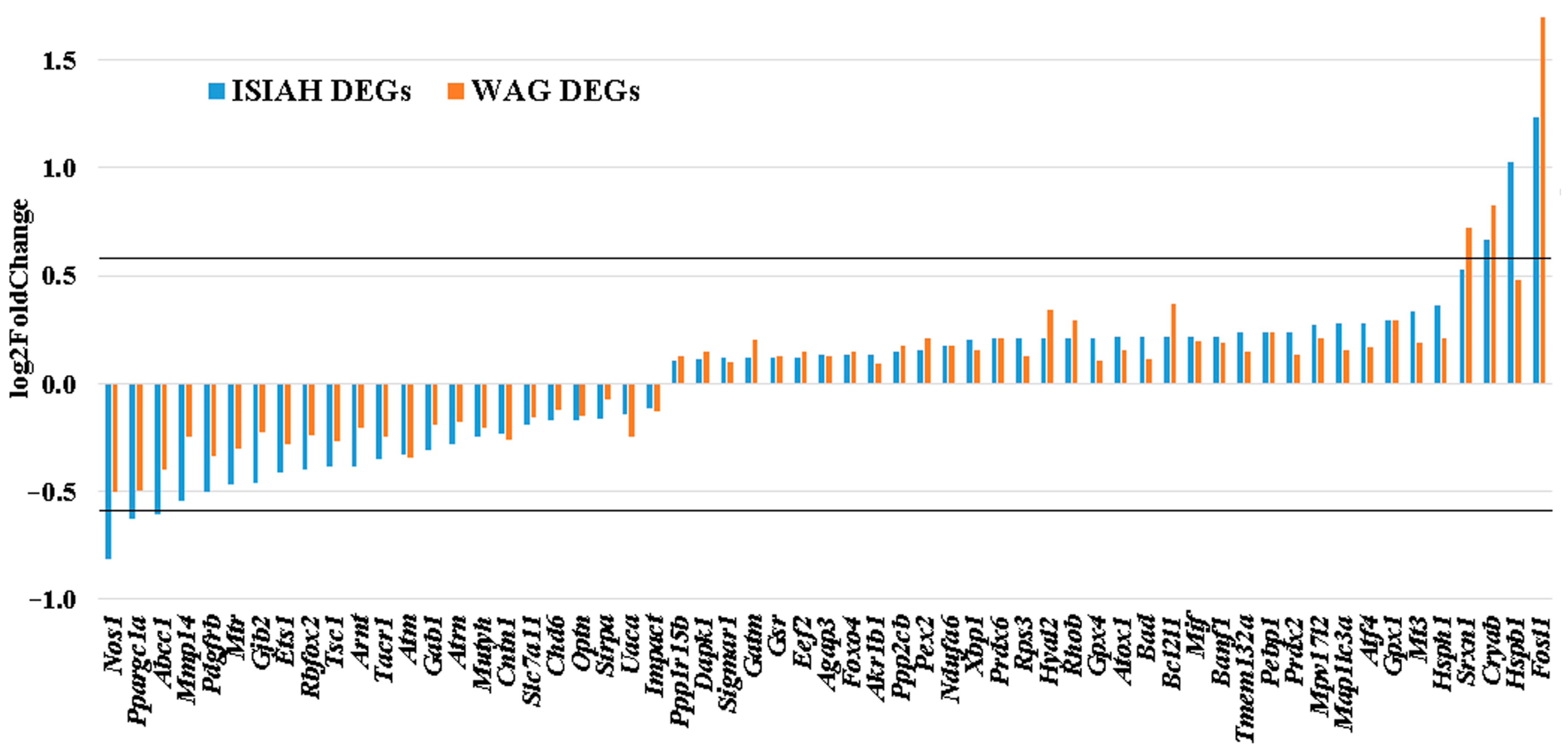 Antioxidants 13 01302 g008