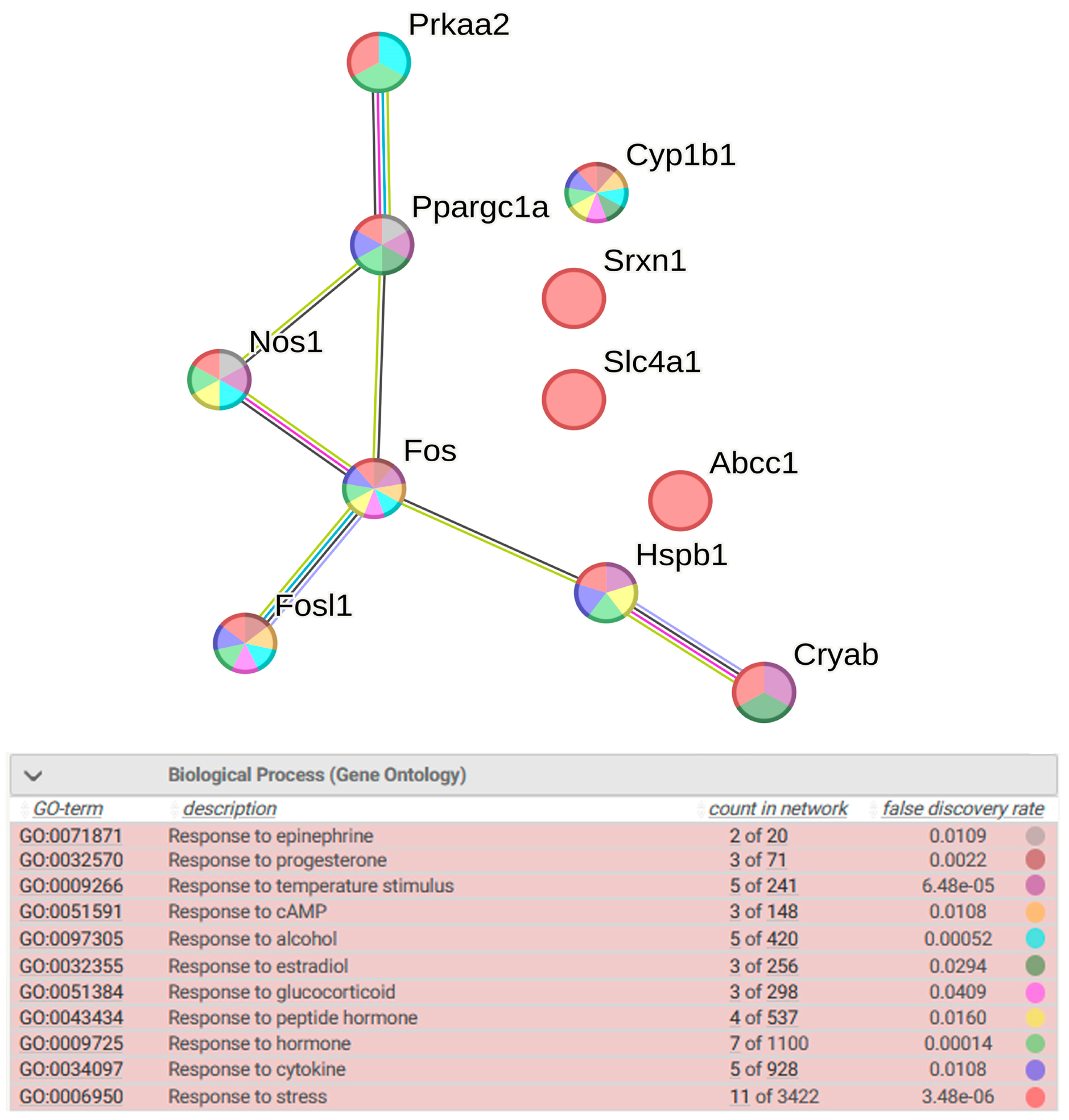 Antioxidants 13 01302 g010
