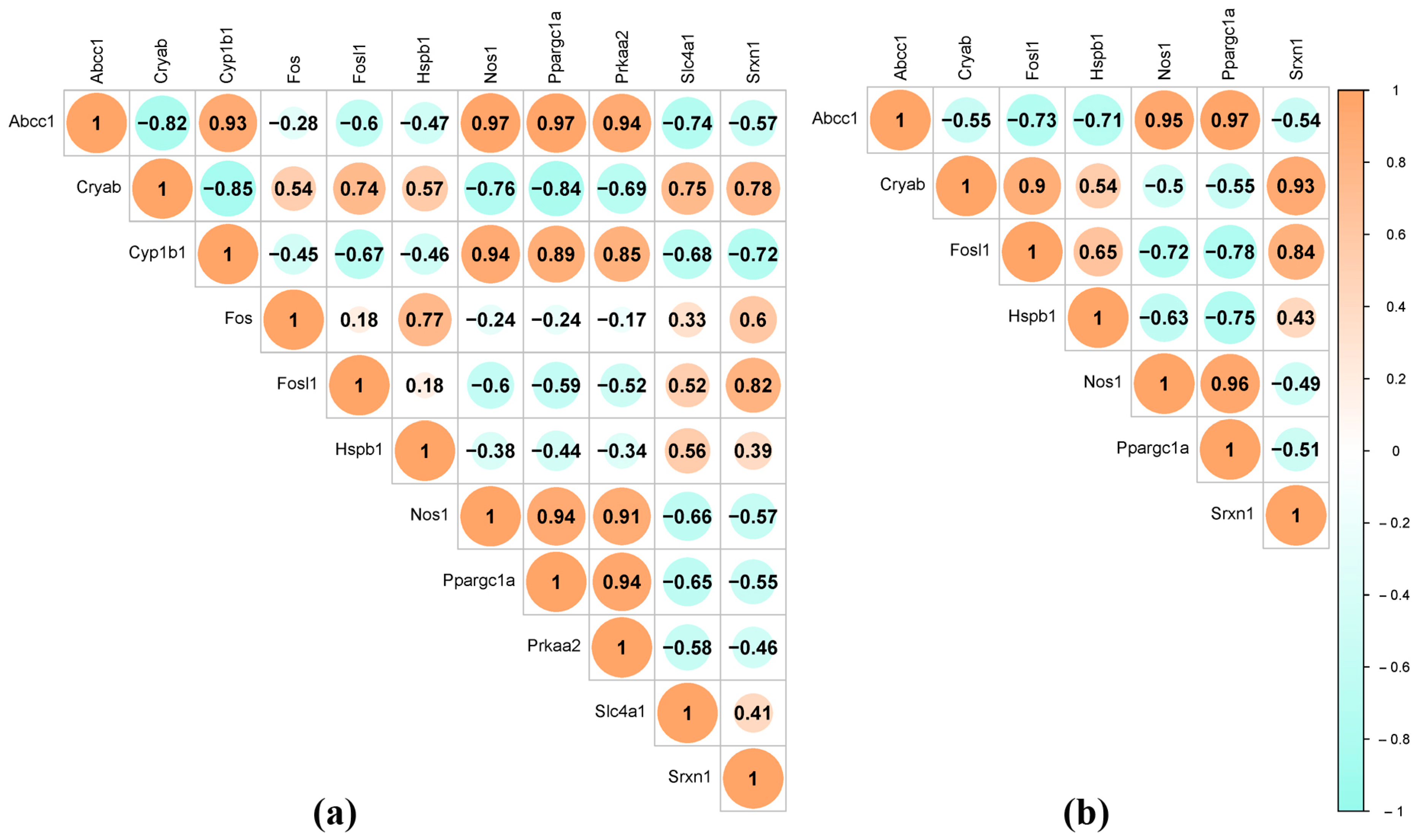 Antioxidants 13 01302 g011