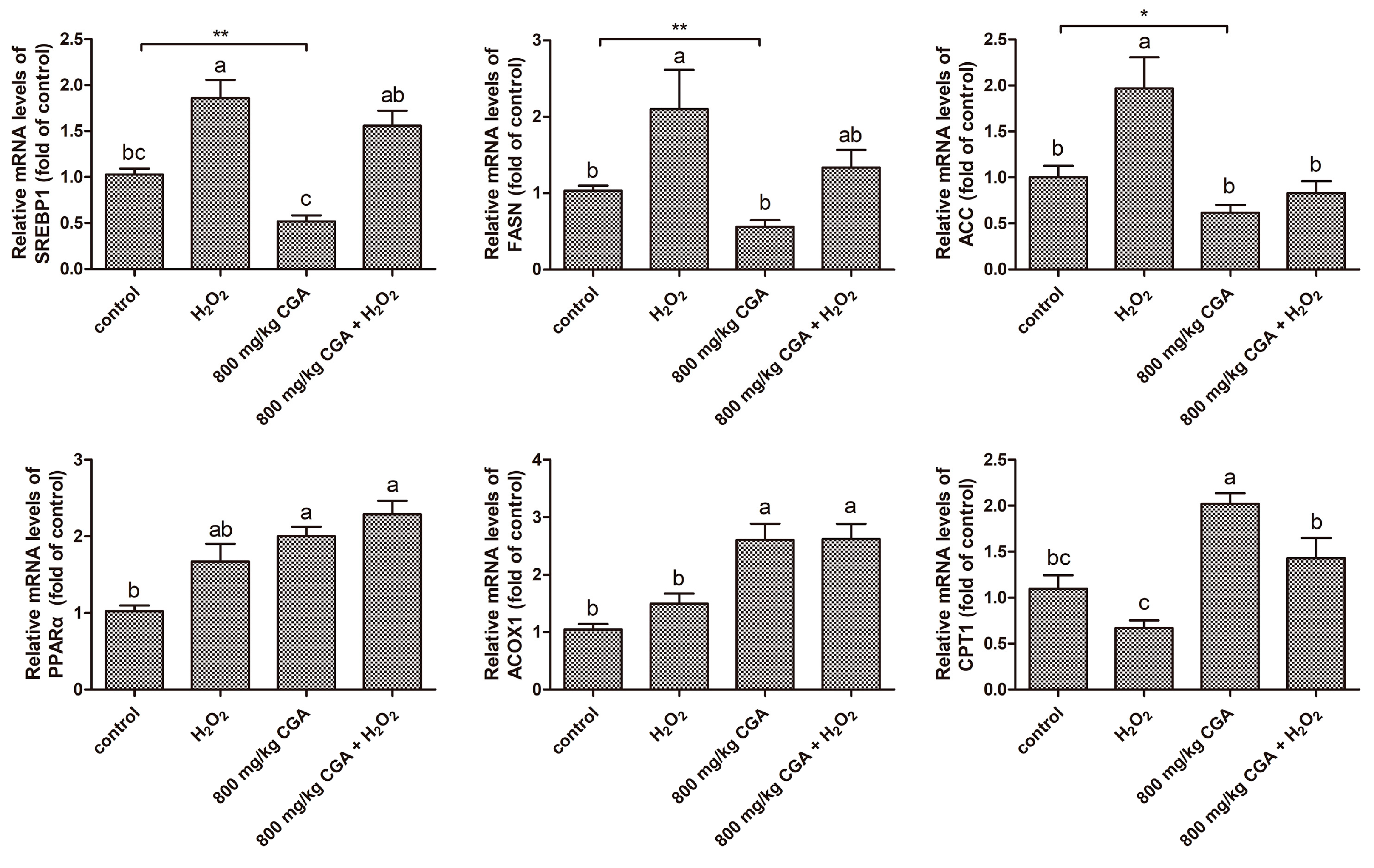 Antioxidants 13 01303 g007