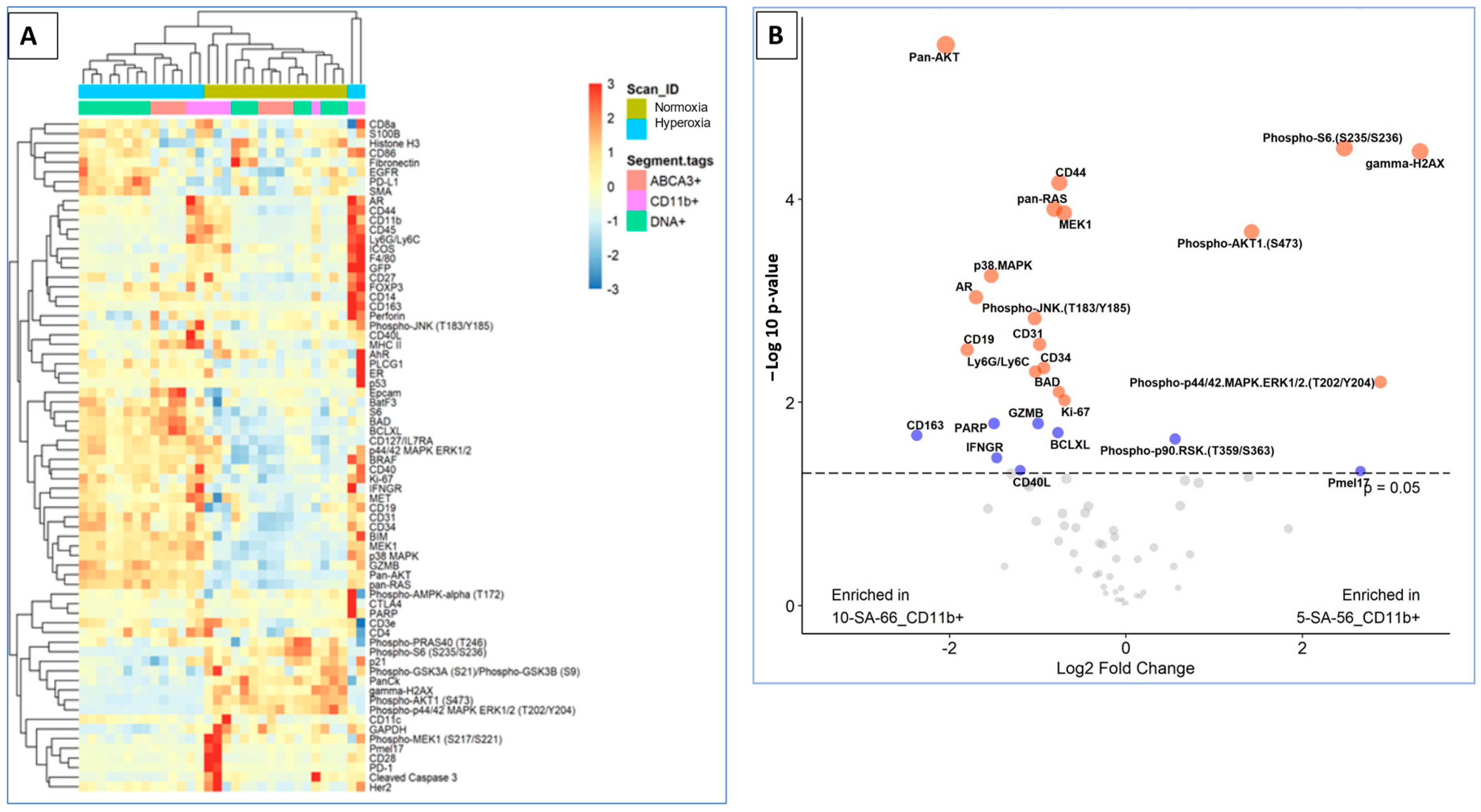 Antioxidants 13 01309 g003