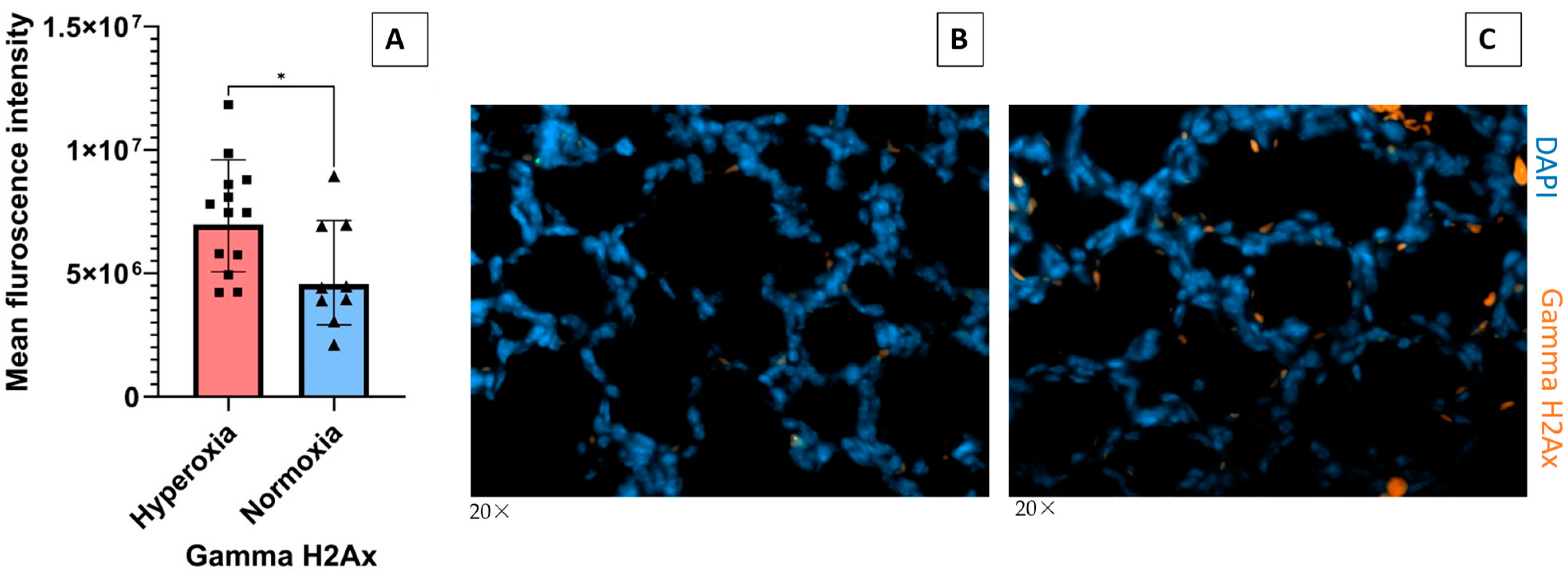 Antioxidants 13 01309 g004