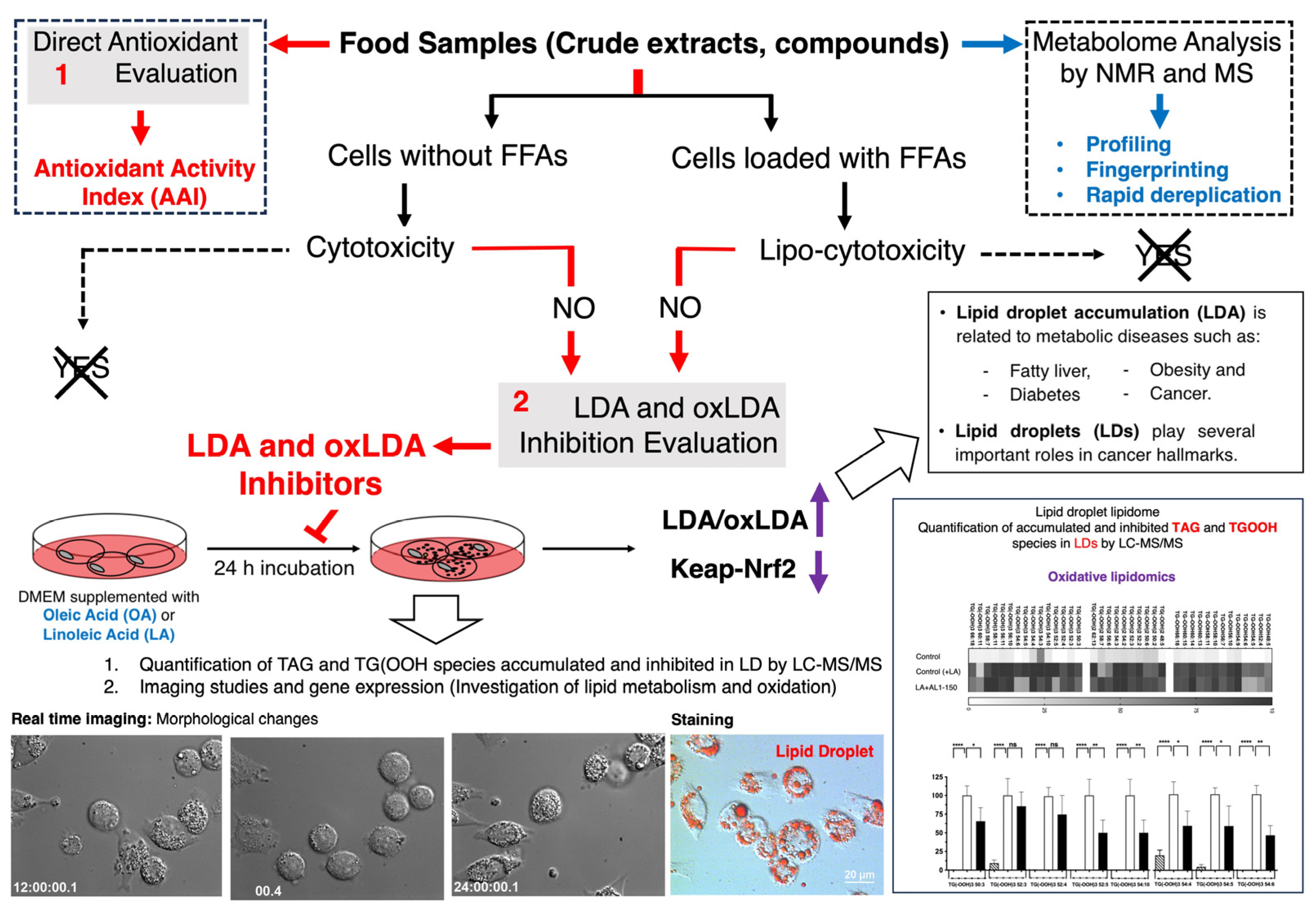 Antioxidants 13 01310 sch001