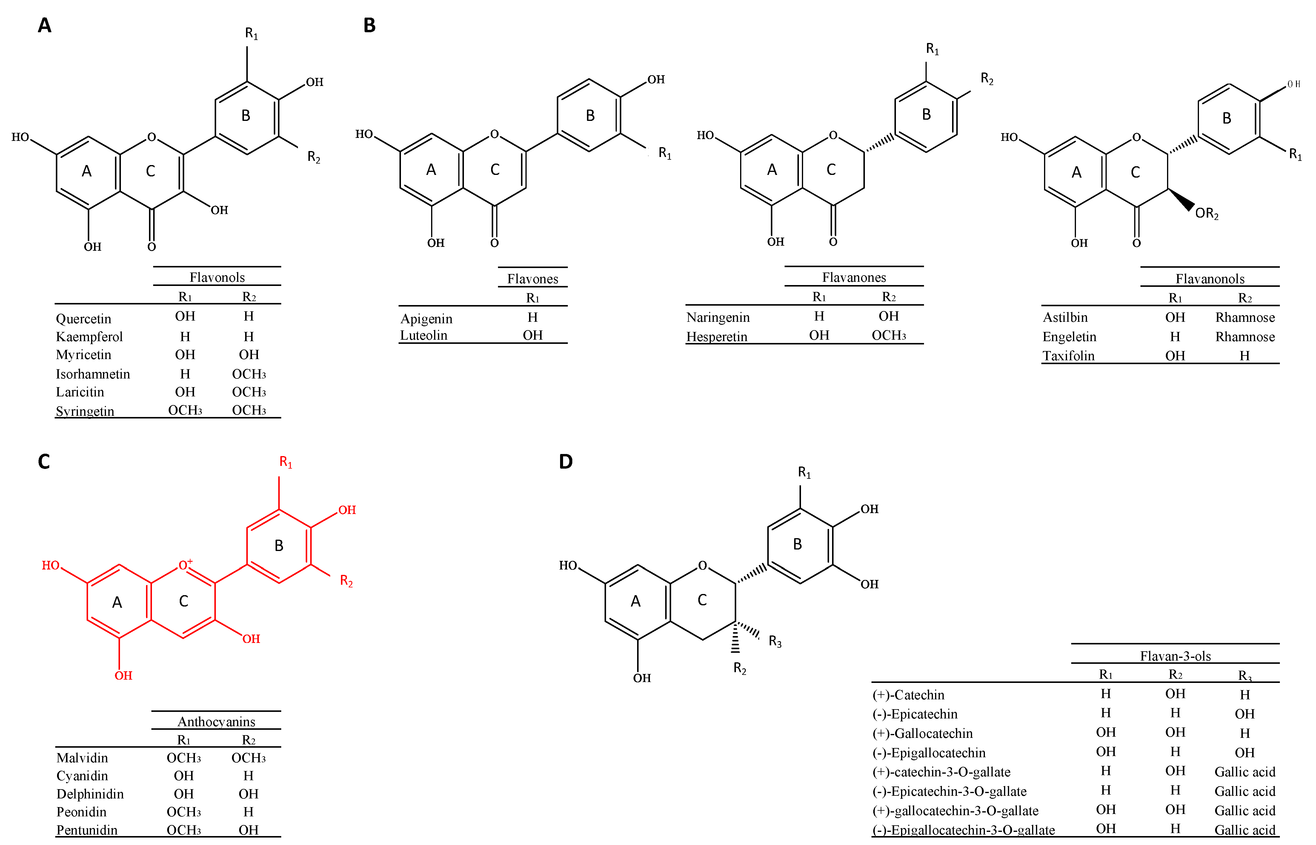 Antioxidants 13 01312 g001