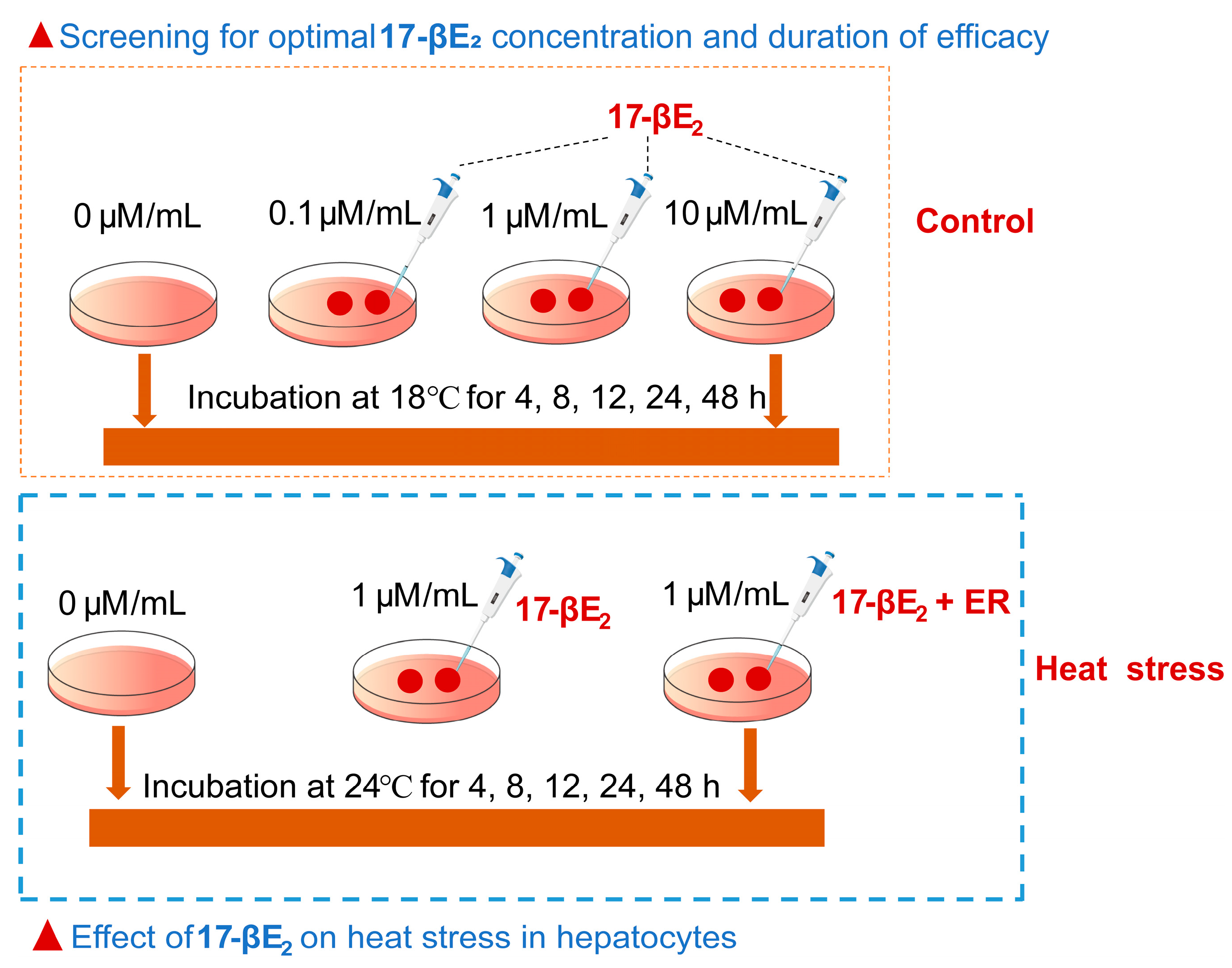 Antioxidants 13 01316 g001