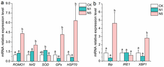 Effects of Nitrite Stress on the Antioxidant, Immunity