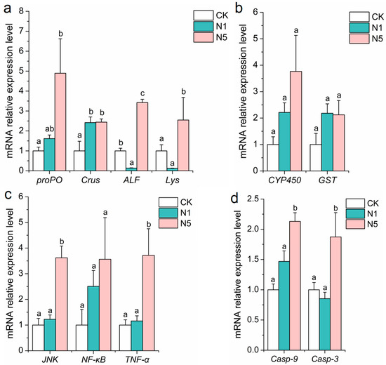 Effects of Nitrite Stress on the Antioxidant, Immunity Effects of Nitrite Stress on the Antioxidant, Immunity