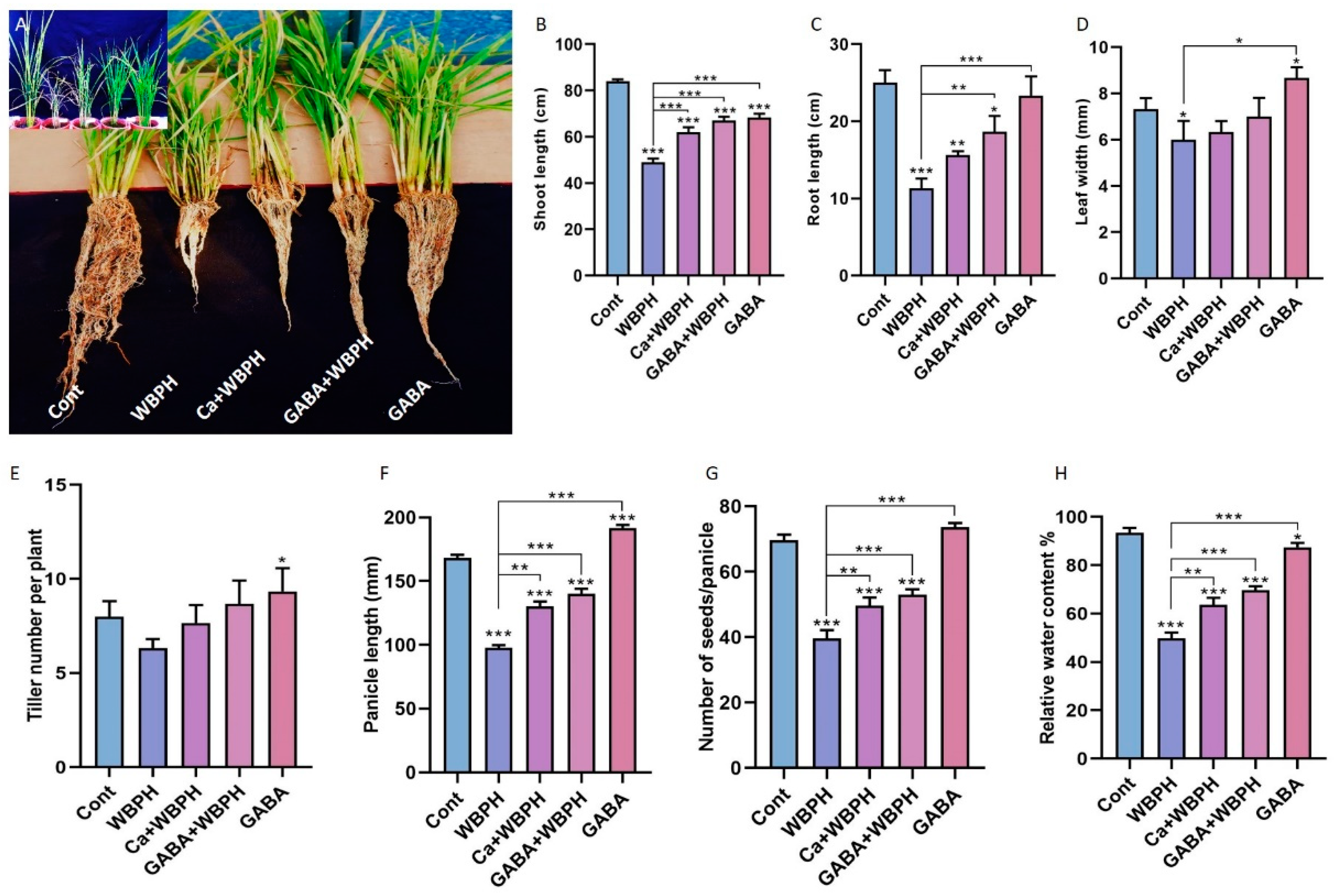 Antioxidants 13 01321 g001