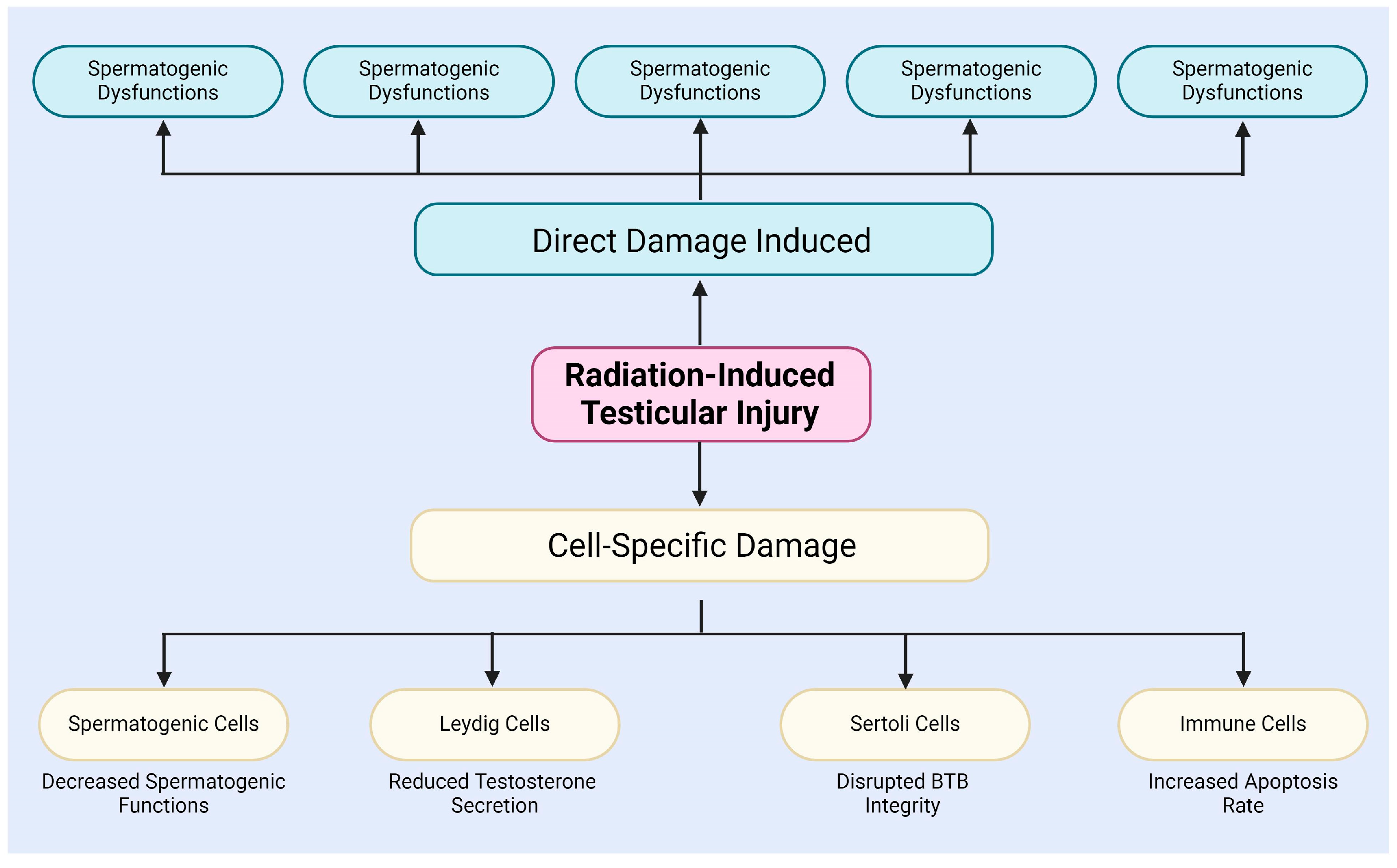 Antioxidants 13 01322 g001 Antioxidants 13 01322 g001