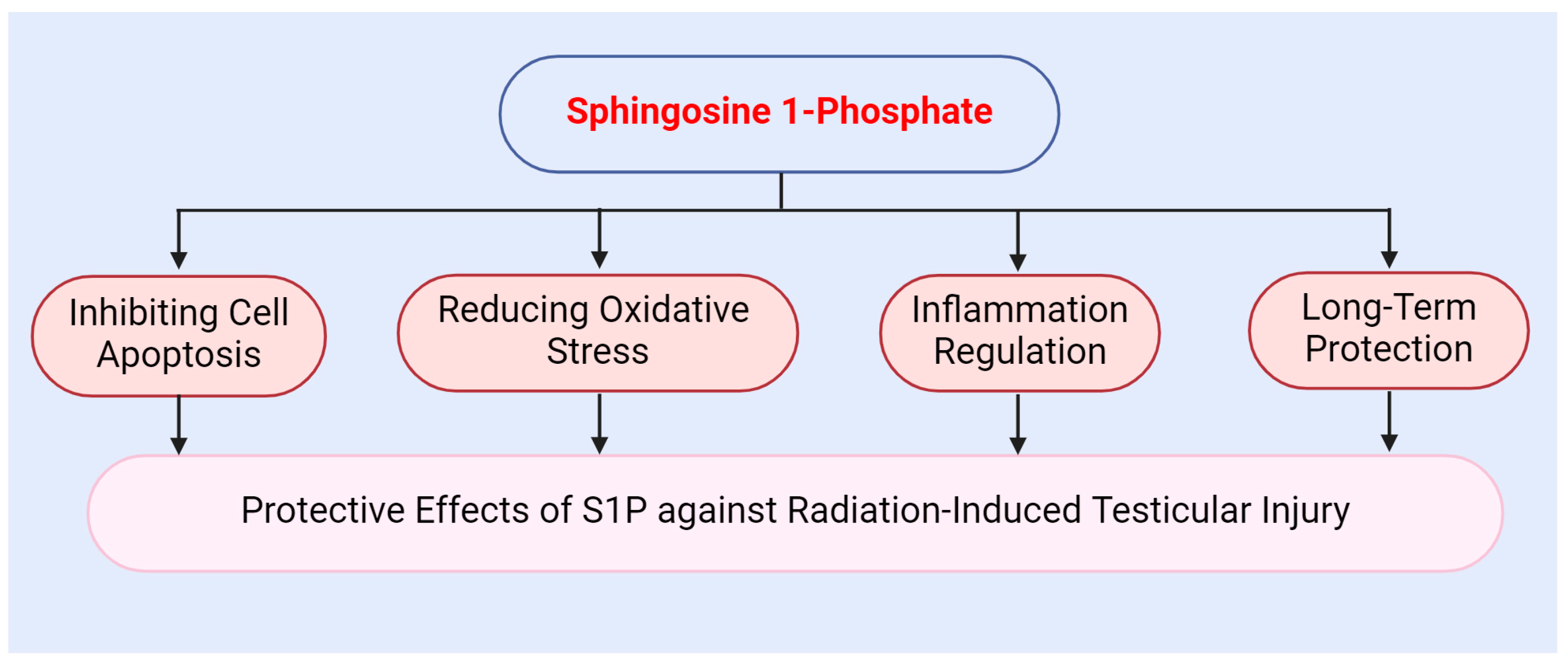 Antioxidants 13 01322 g004 Antioxidants 13 01322 g004