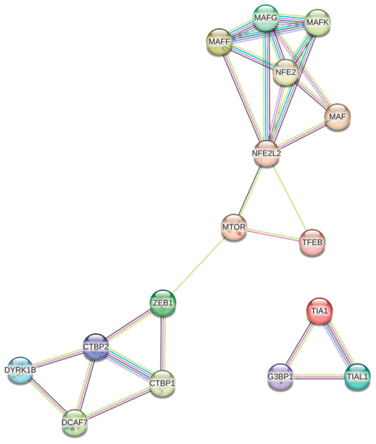 Antioxidants 13 01326 g003