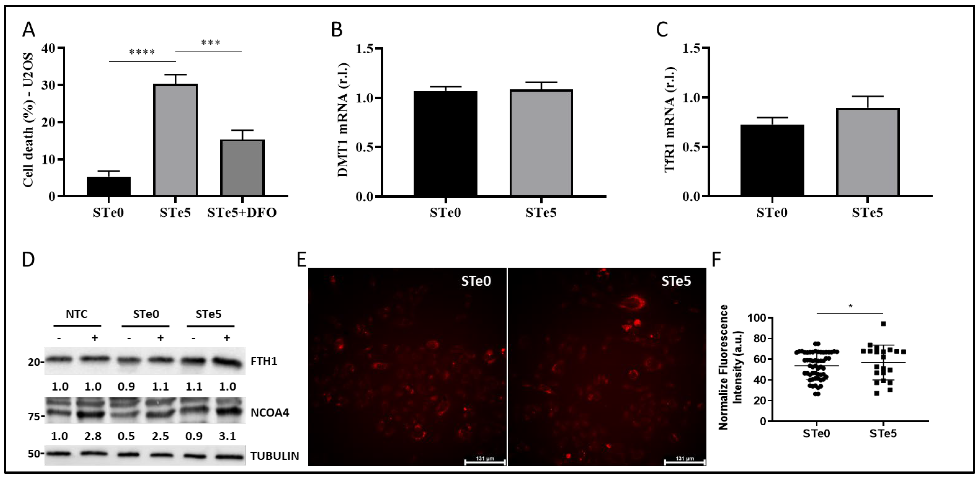 Antioxidants 13 01327 g003