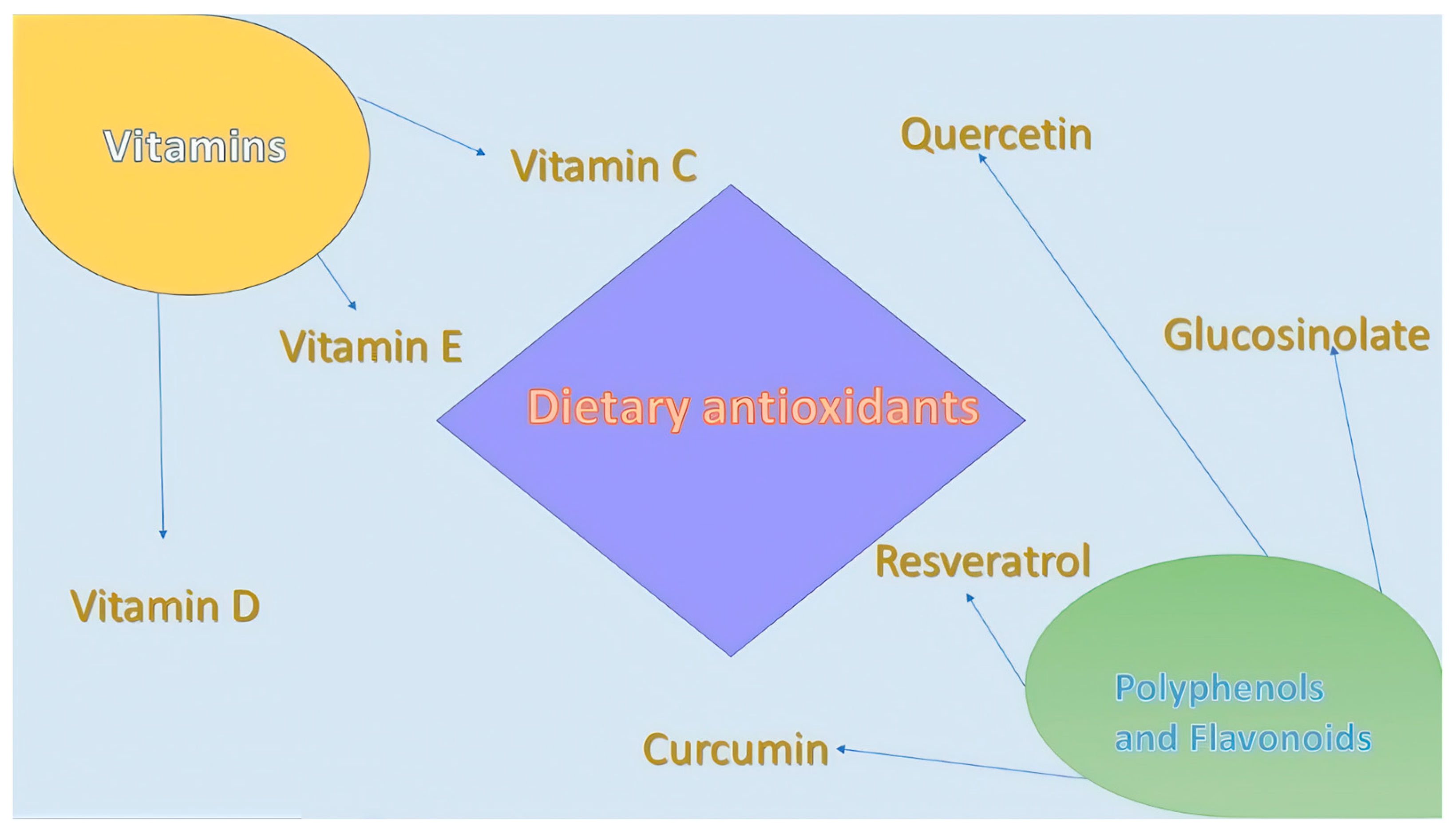 Antioxidants 13 01331 g002 Antioxidants 13 01331 g002