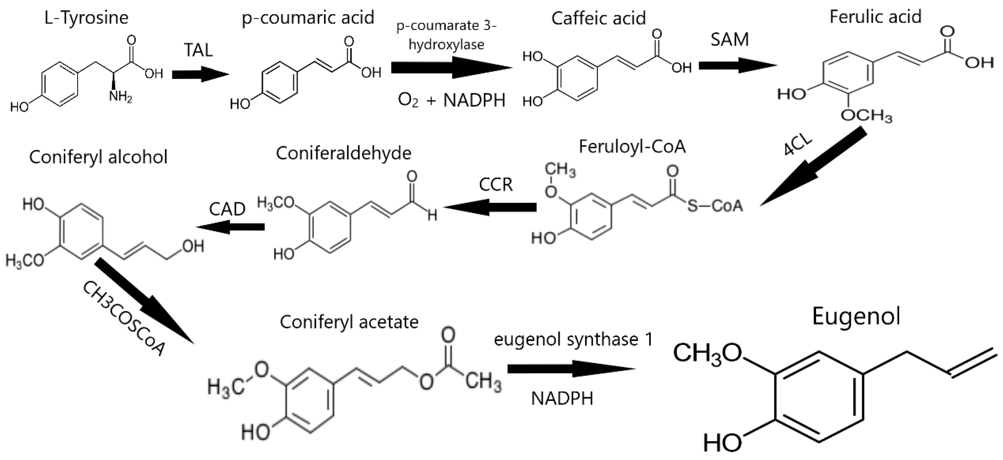 Antioxidants 13 01335 g002