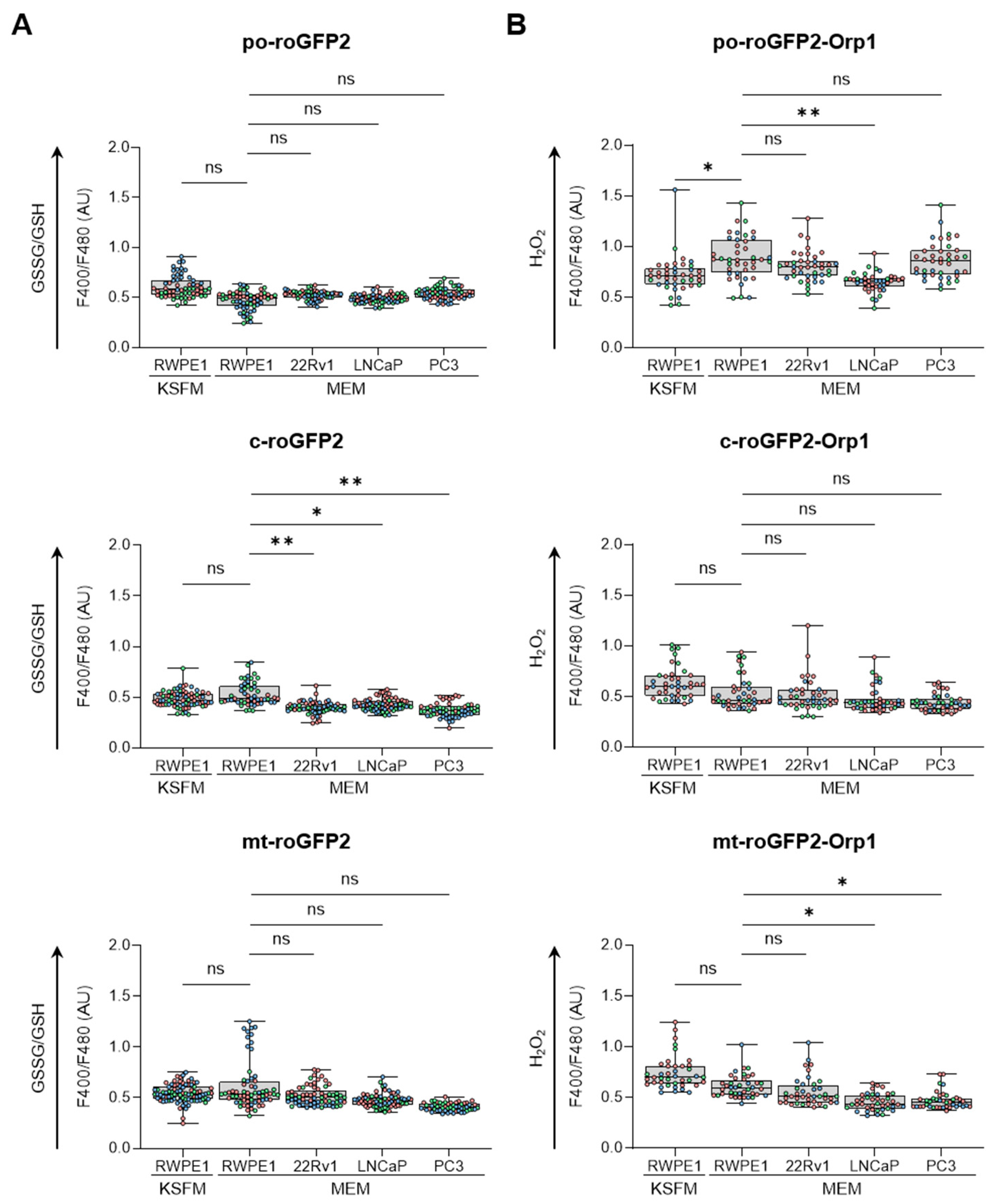Antioxidants 13 01340 g001 Antioxidants 13 01340 g001