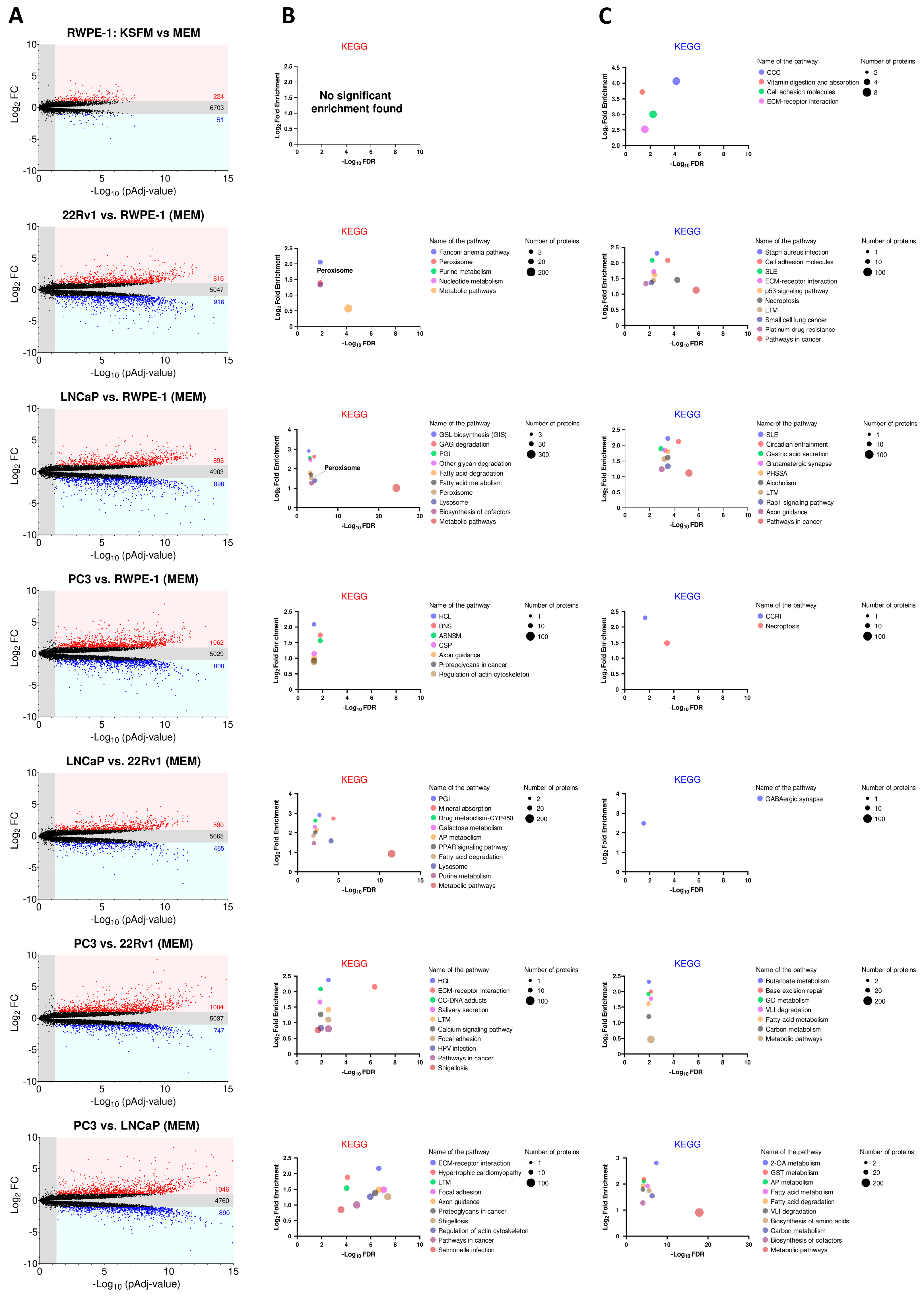 Antioxidants 13 01340 g003 Antioxidants 13 01340 g003