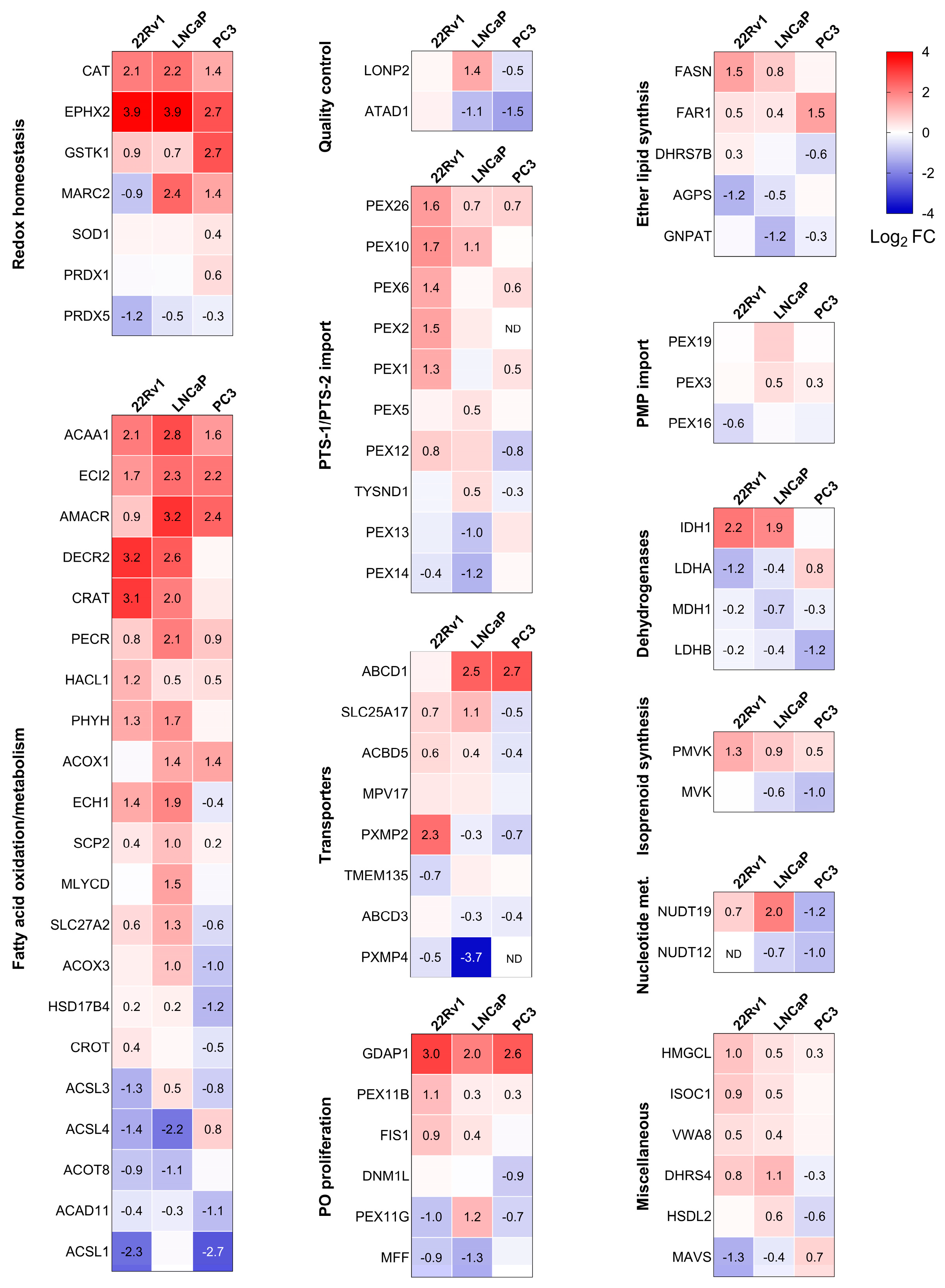 Antioxidants 13 01340 g004 Antioxidants 13 01340 g004