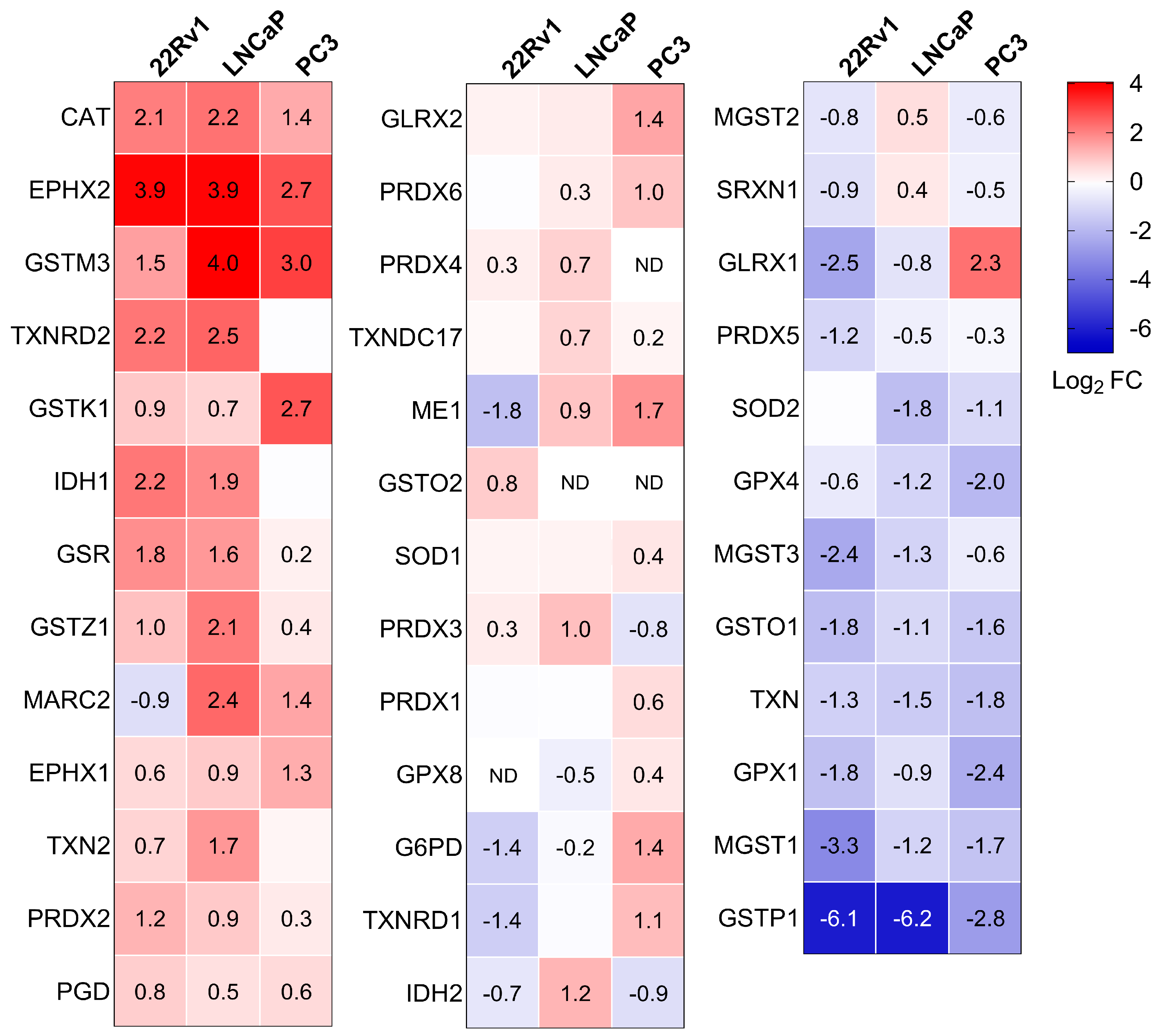 Antioxidants 13 01340 g005 Antioxidants 13 01340 g005