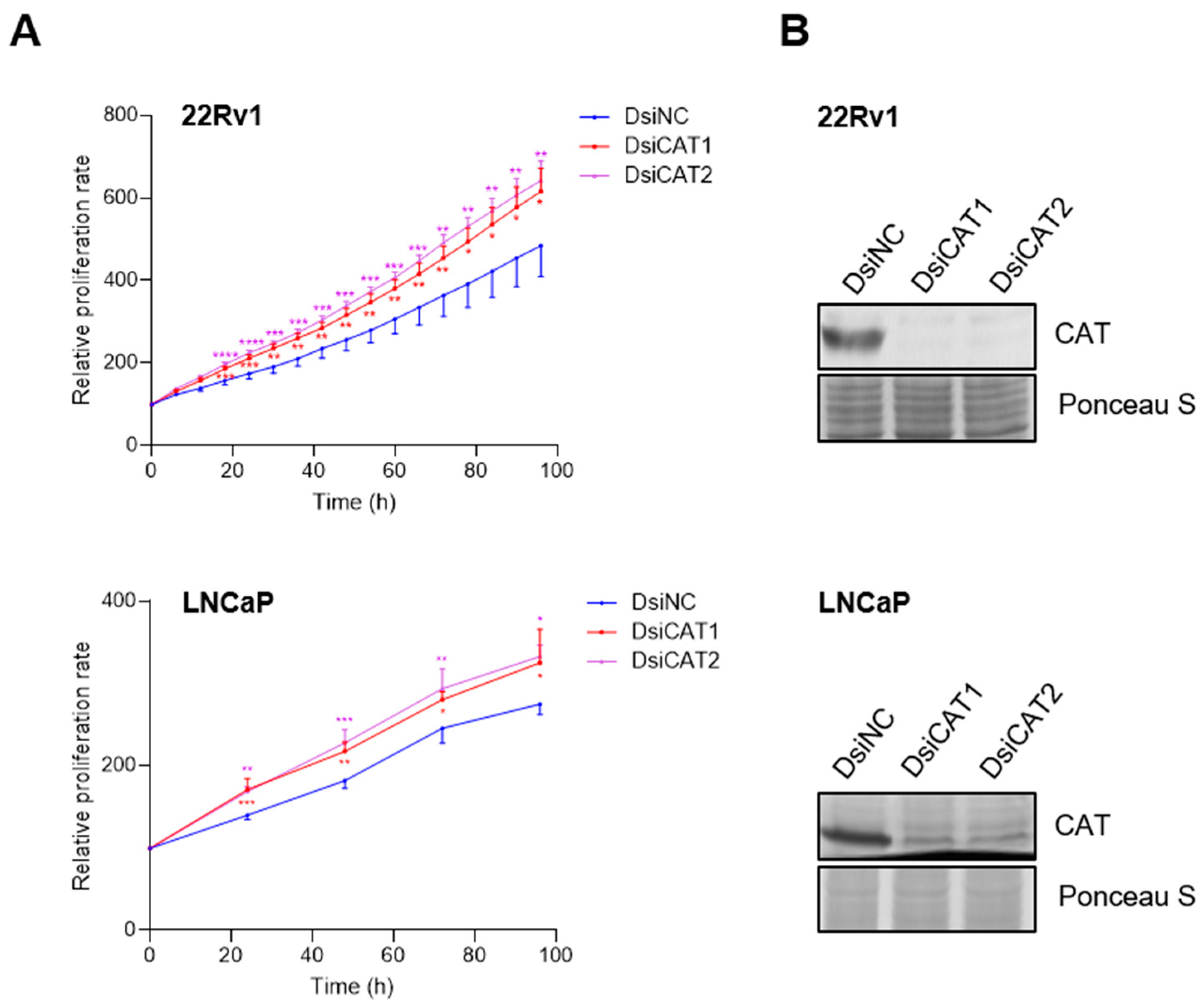 Antioxidants 13 01340 g008 Antioxidants 13 01340 g008