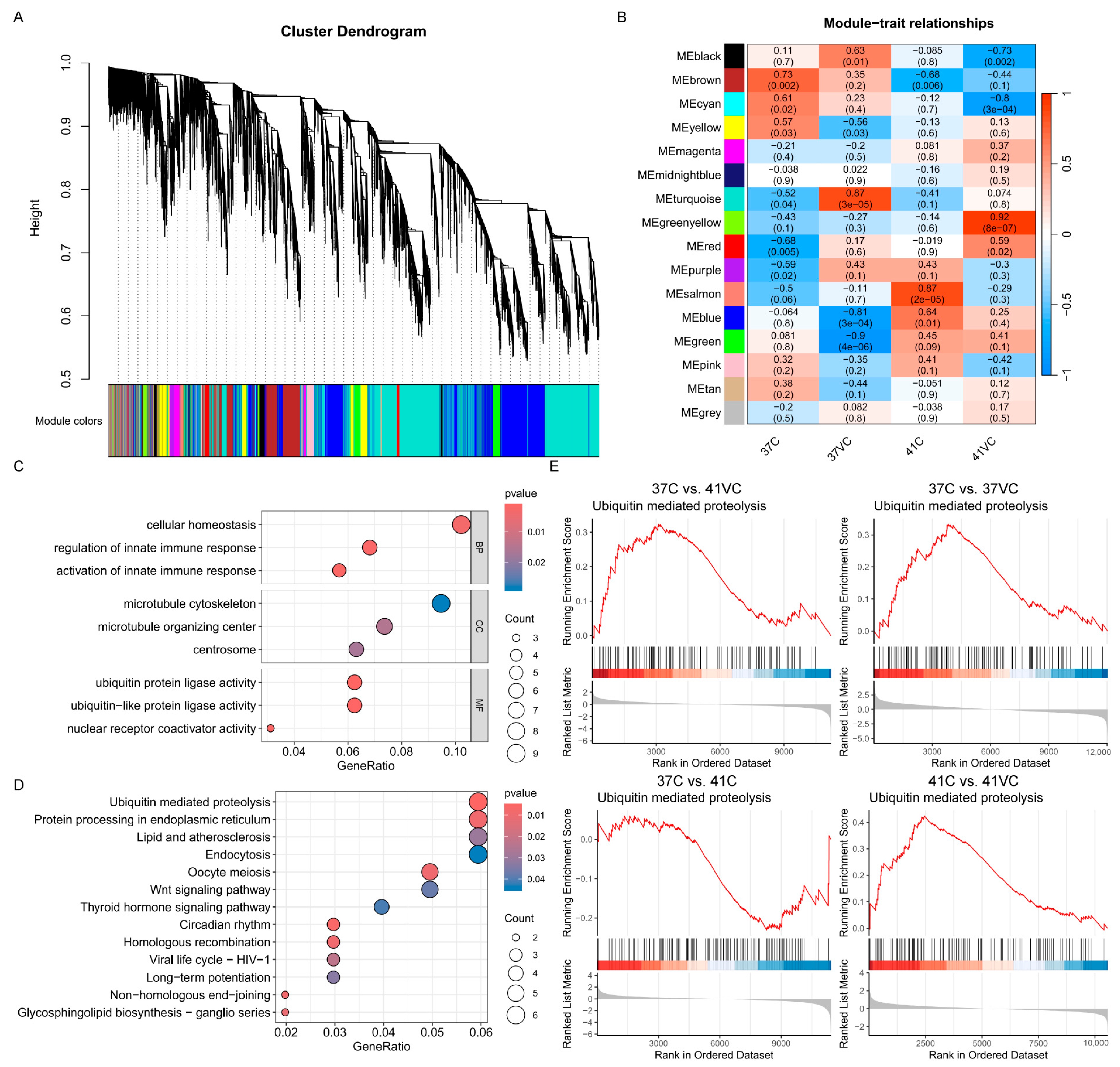 Antioxidants 13 01341 g004