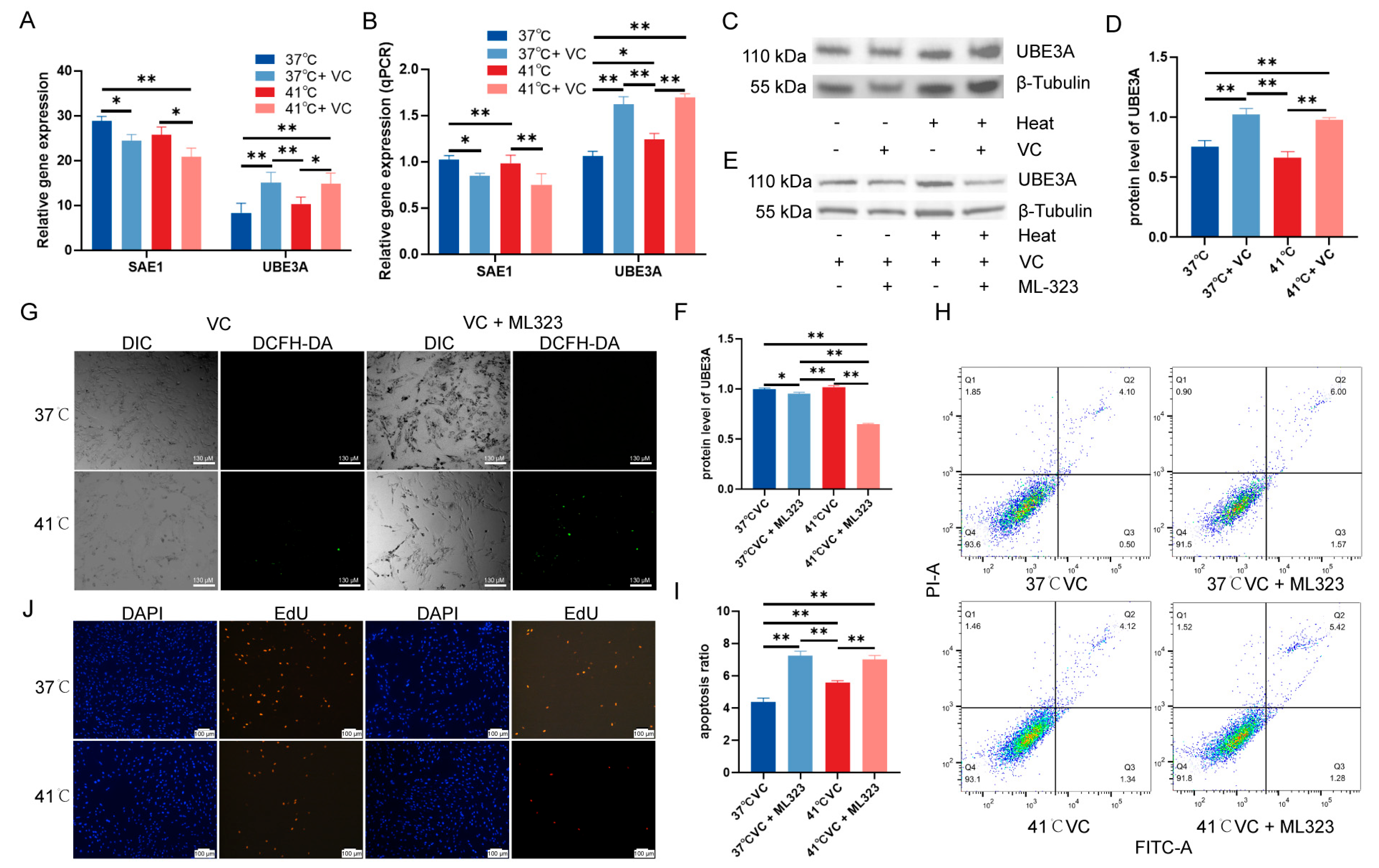 Antioxidants 13 01341 g005