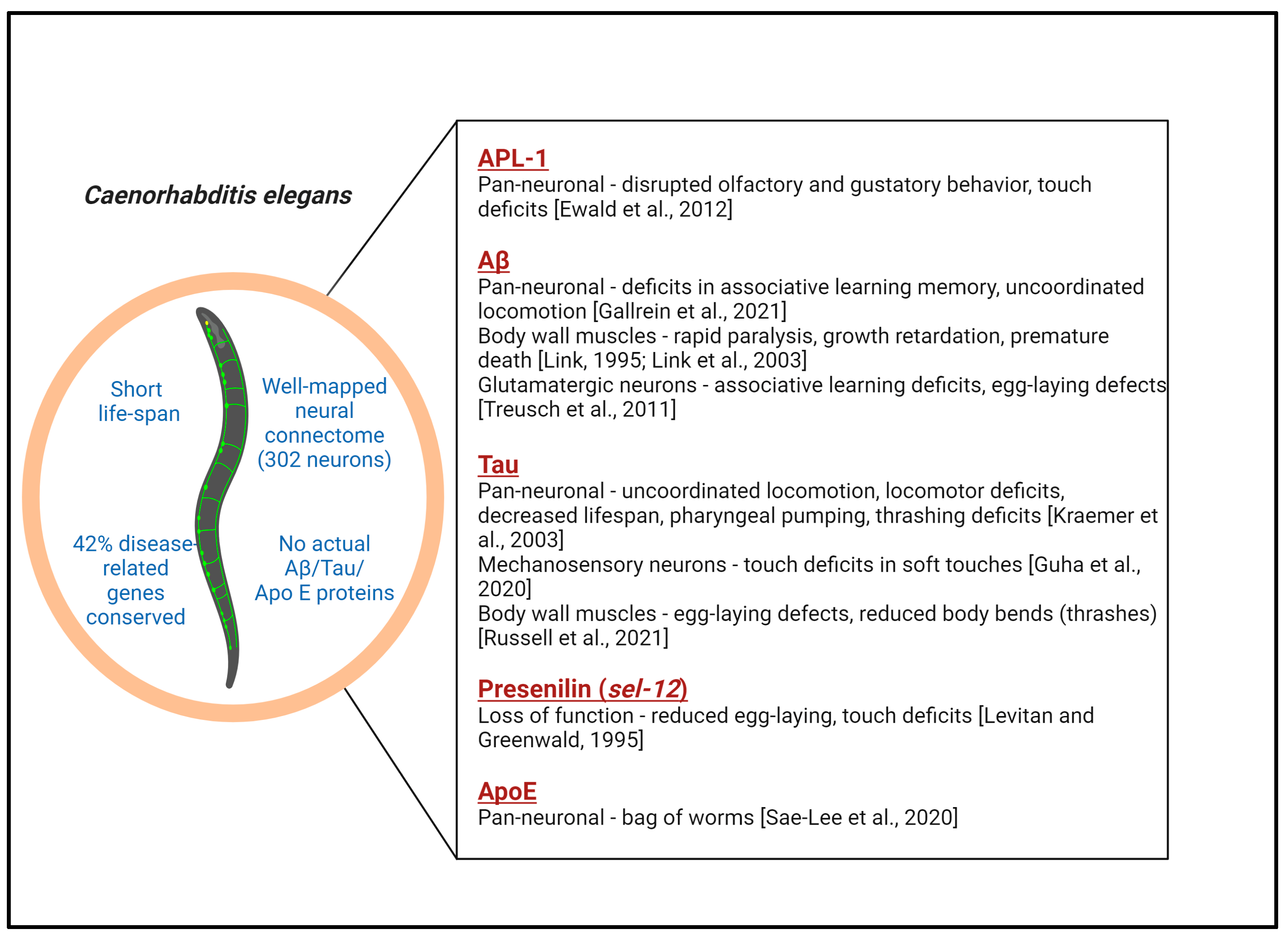 Antioxidants 13 01343 g001 Antioxidants 13 01343 g001
