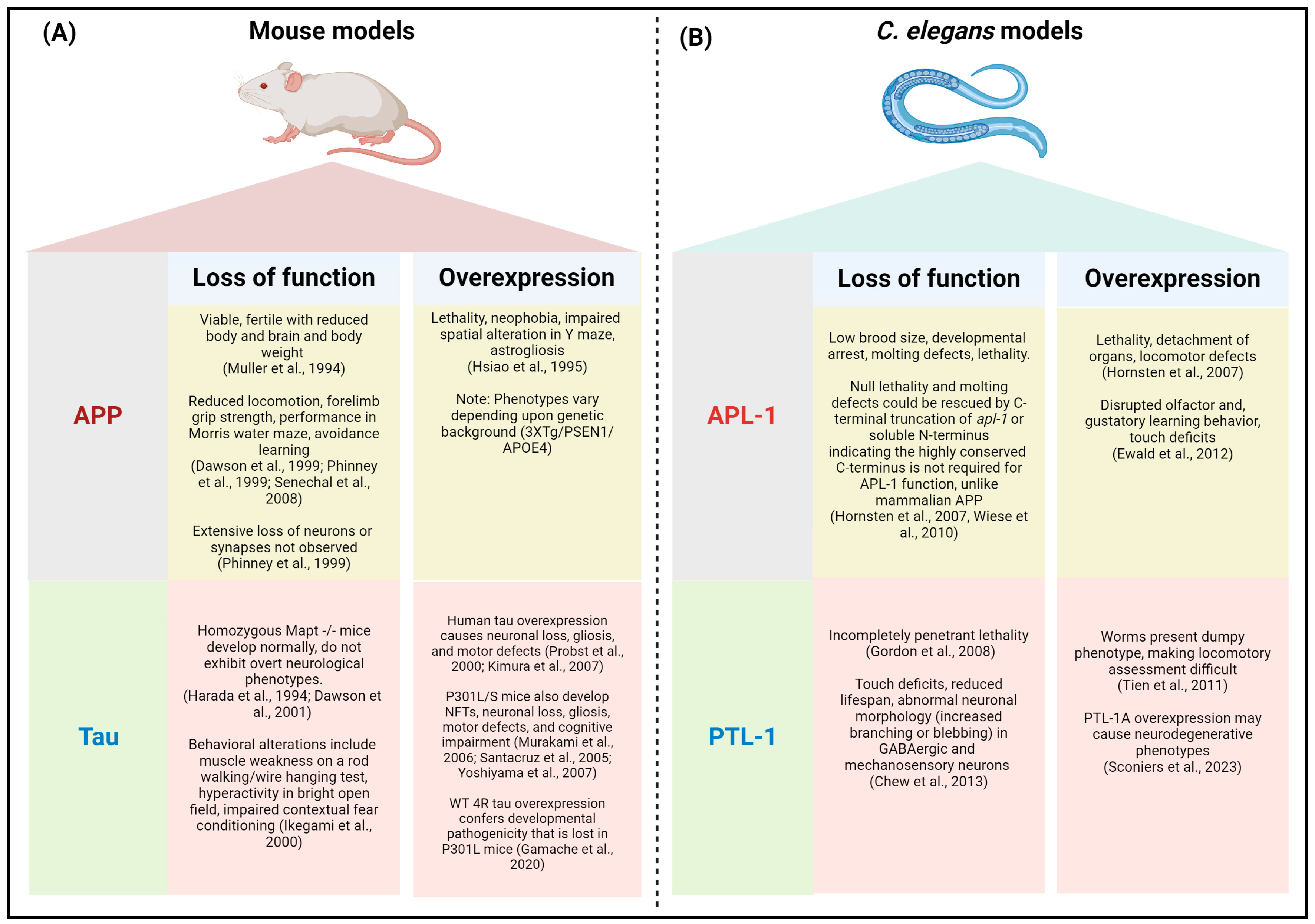 Antioxidants 13 01343 g002 Antioxidants 13 01343 g002