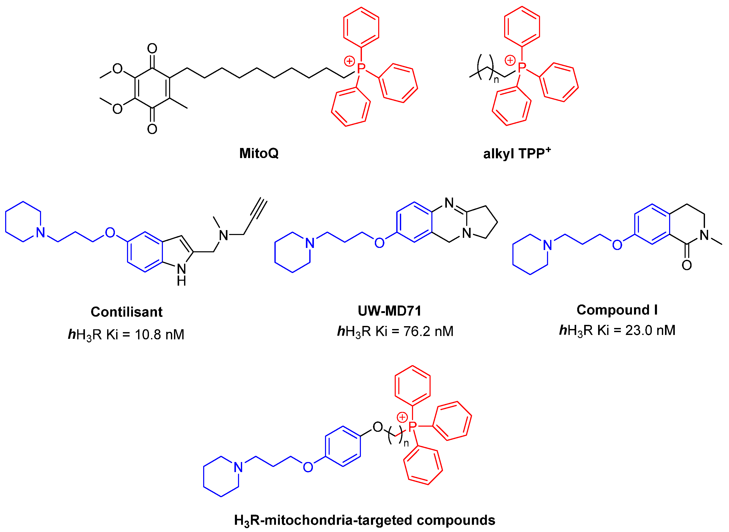 Antioxidants 13 01345 g001