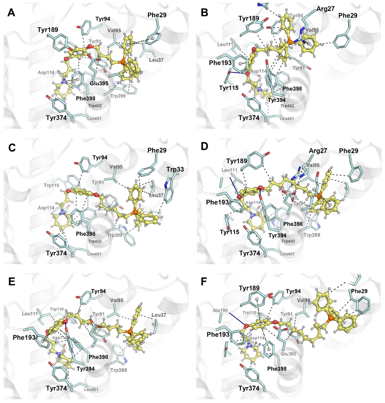 Antioxidants 13 01345 g003