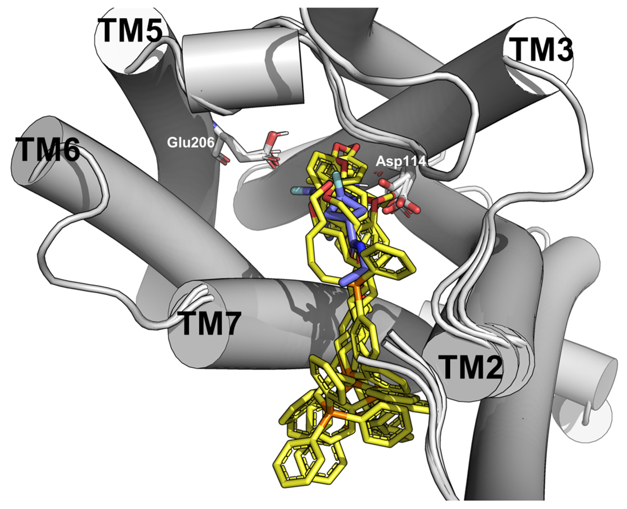 Antioxidants 13 01345 g004