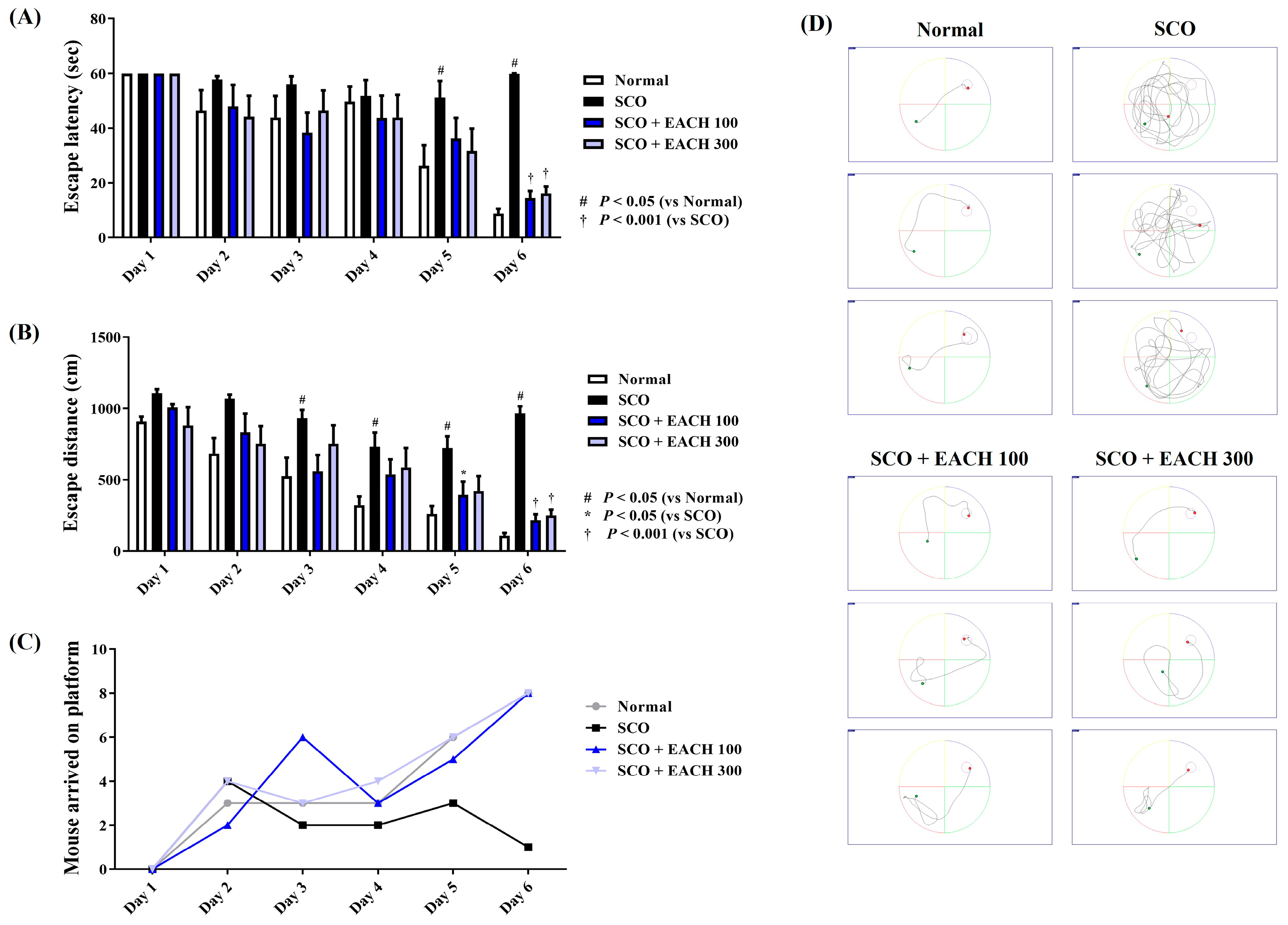 Antioxidants 13 01346 g001