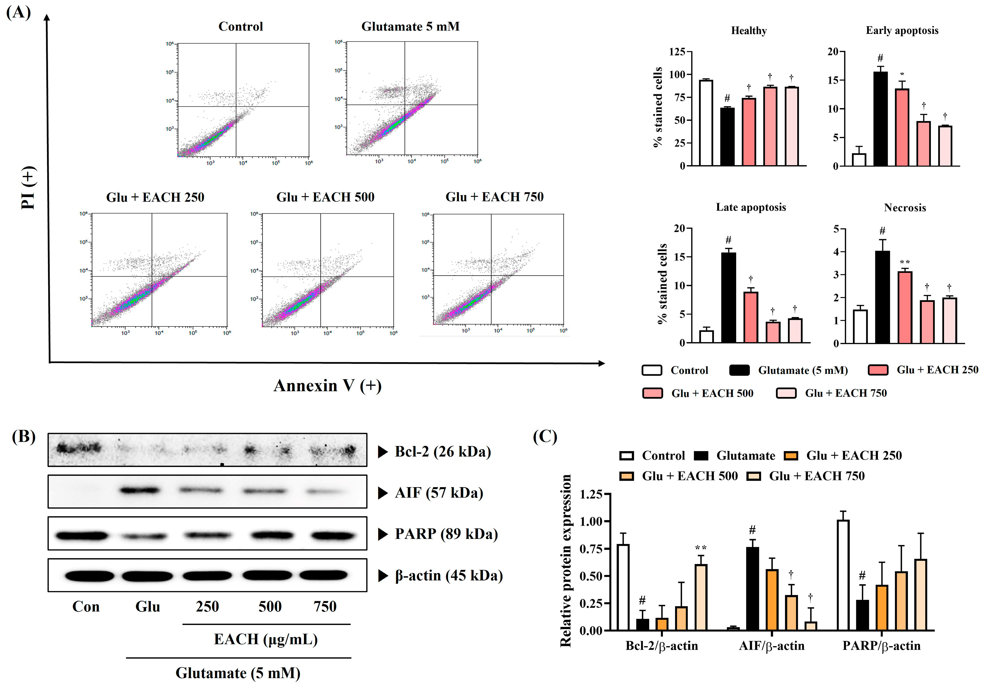Antioxidants 13 01346 g006