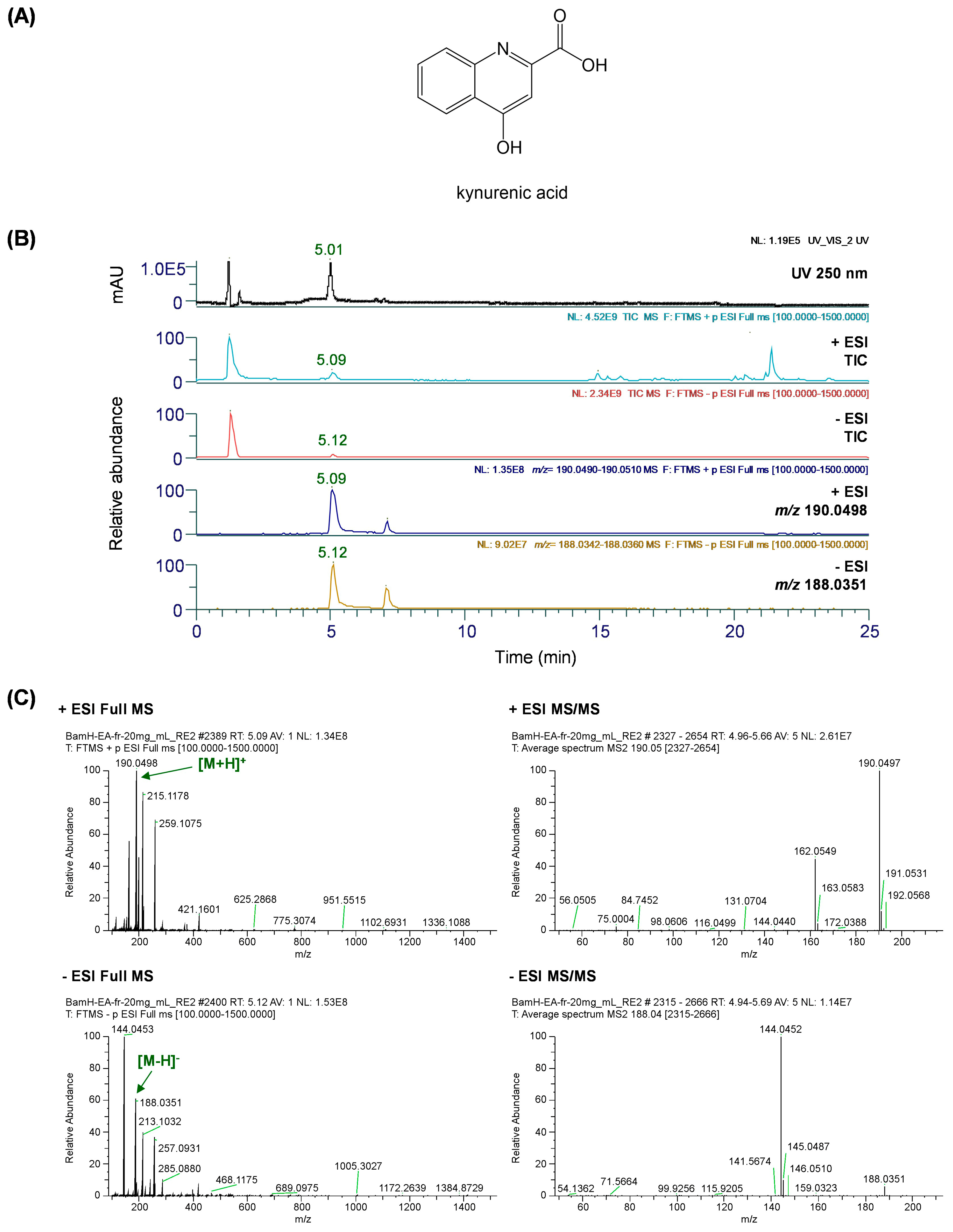 Antioxidants 13 01346 g008