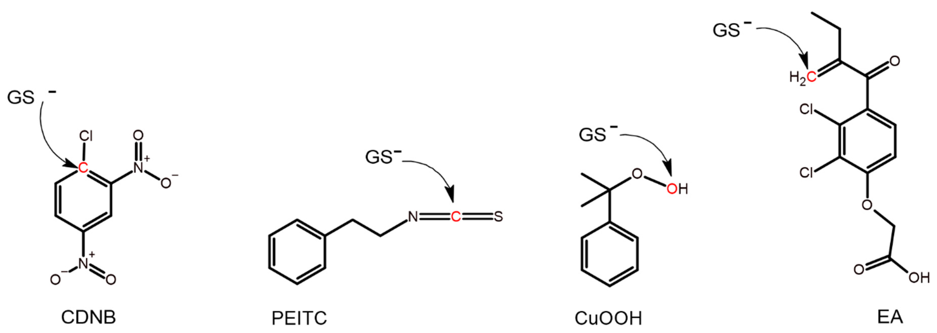 Antioxidants 13 01347 g001