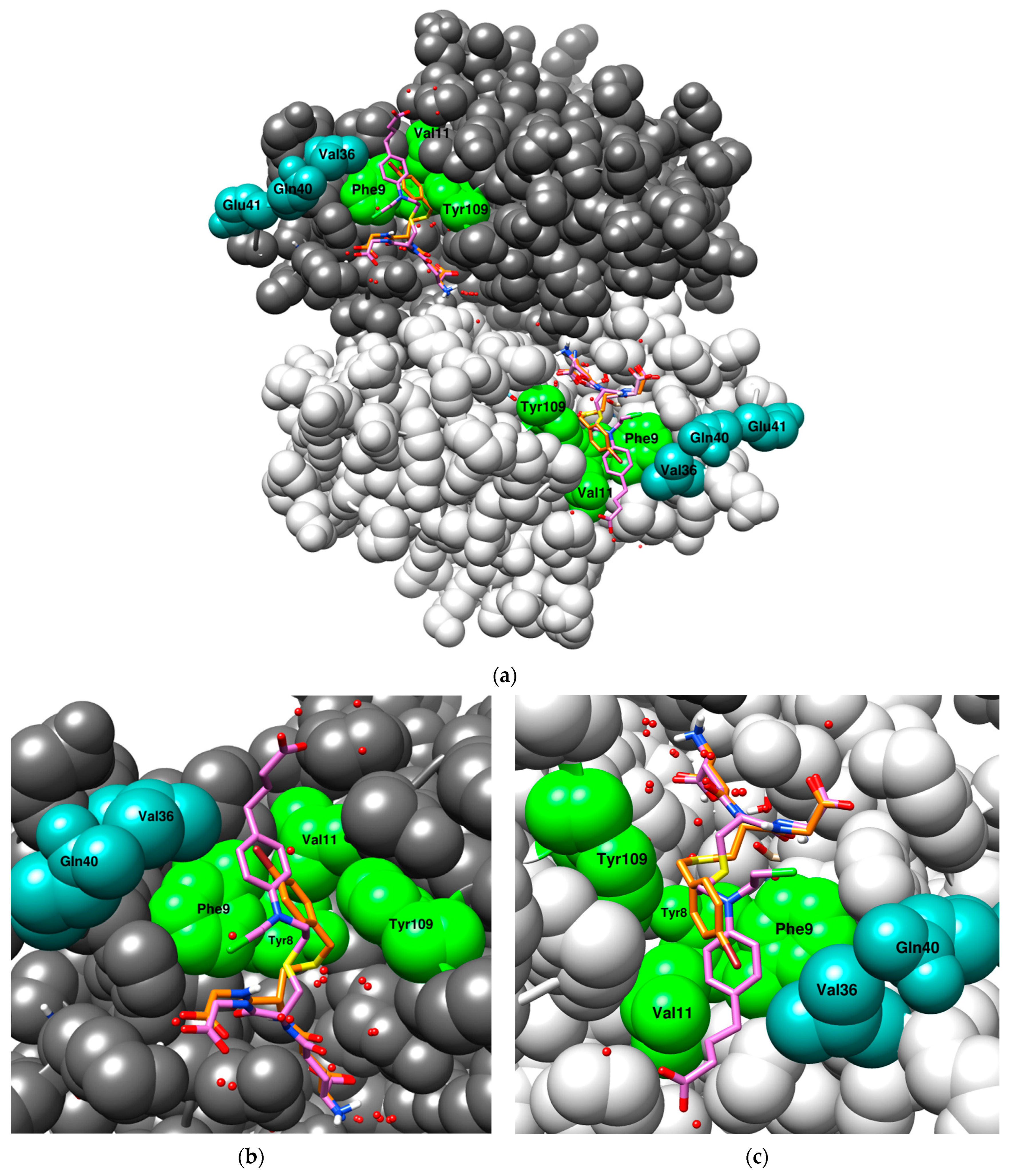Antioxidants 13 01347 g005