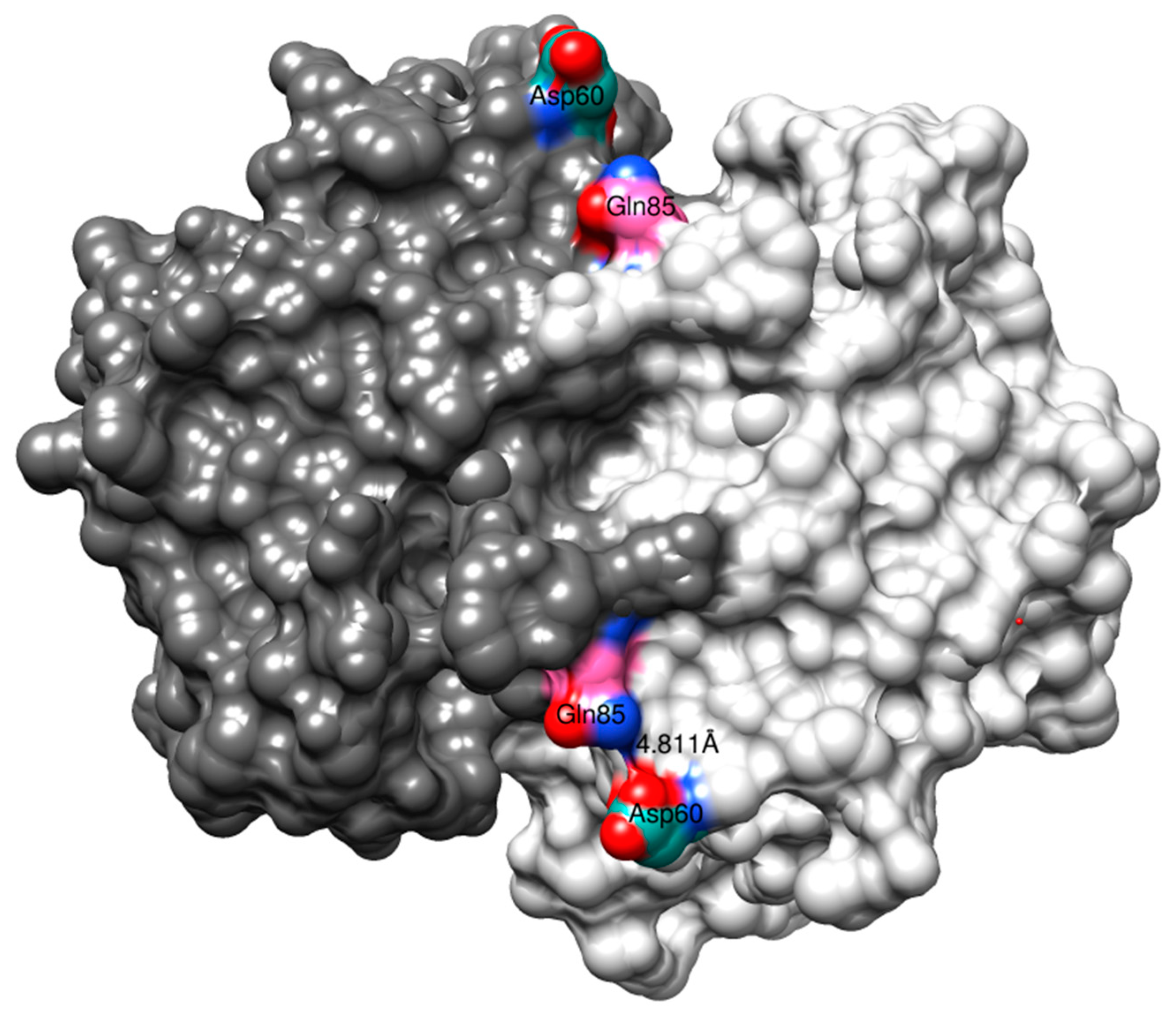Antioxidants 13 01347 g006