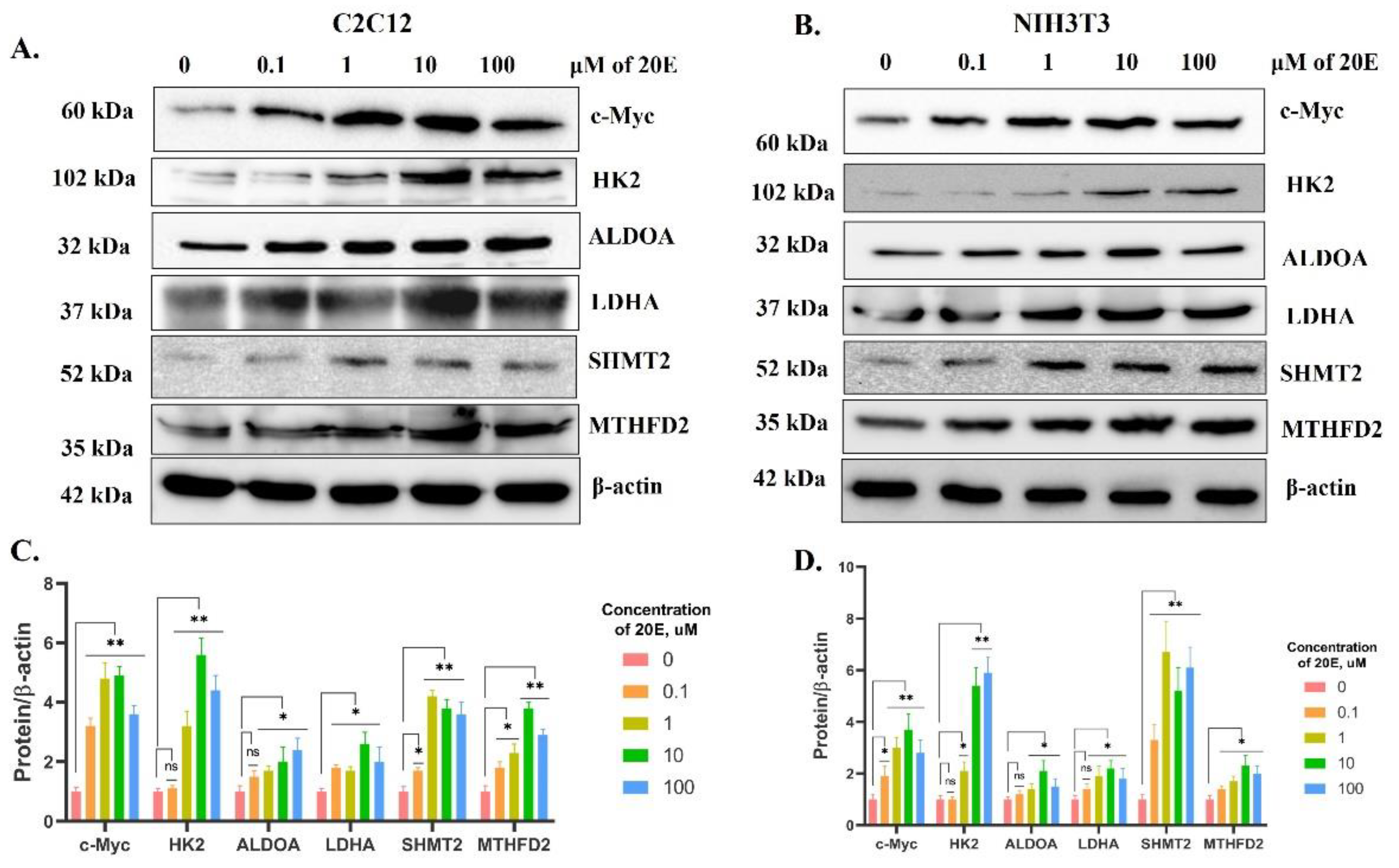 Antioxidants 13 01349 g004